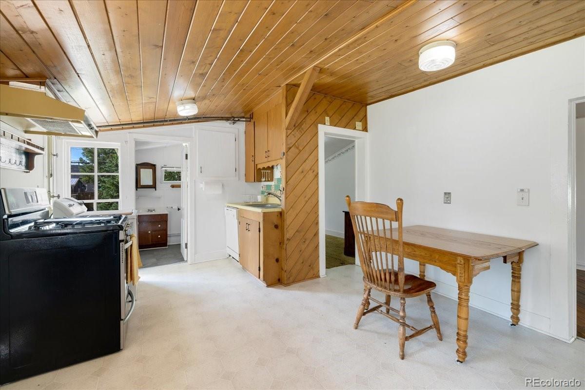 MLS Image #16 for 142 w 4th street,leadville, Colorado