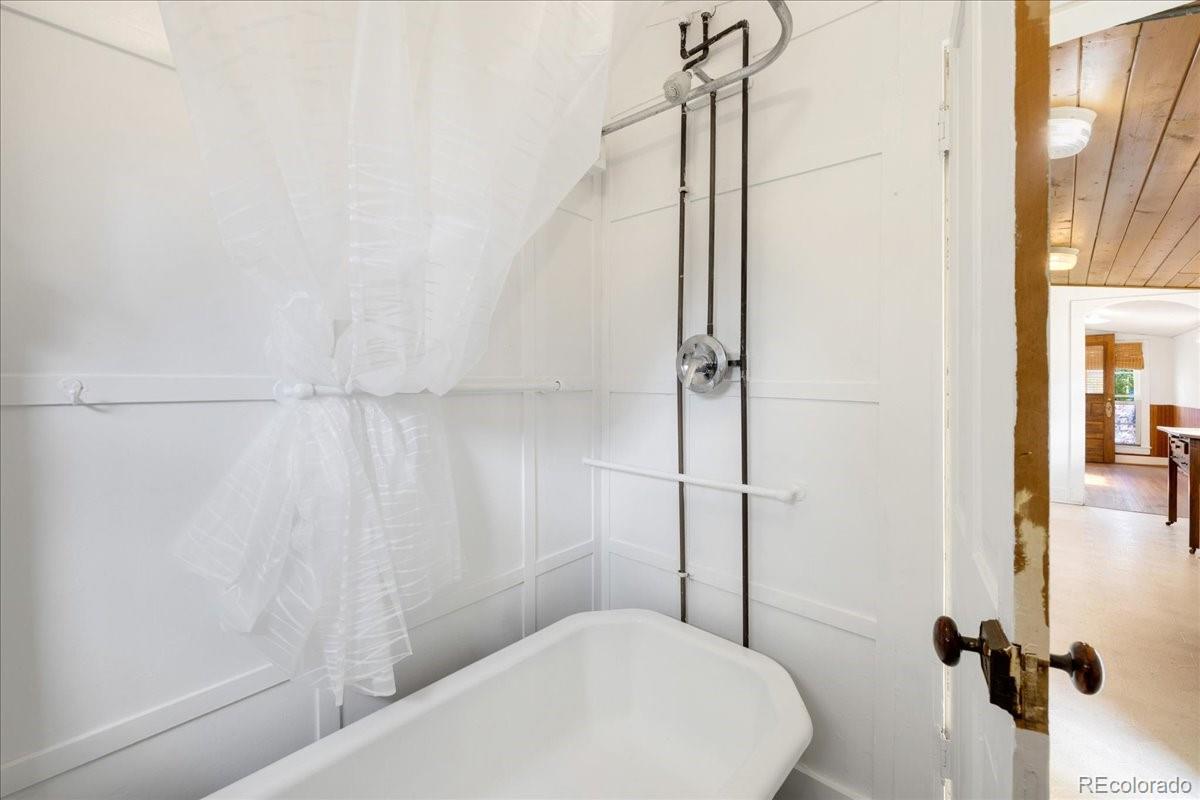 MLS Image #22 for 142 w 4th street,leadville, Colorado