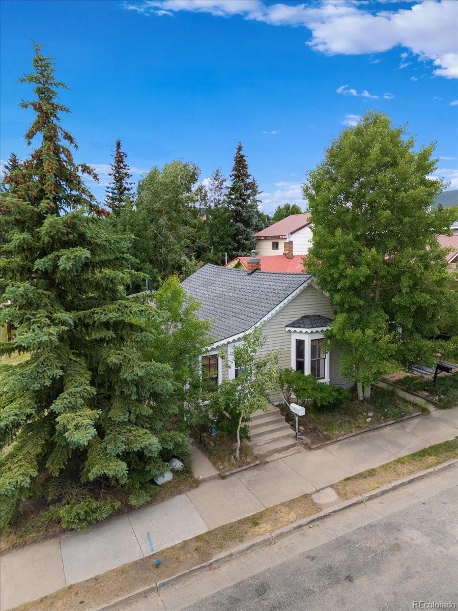 MLS Image #29 for 142 w 4th street,leadville, Colorado