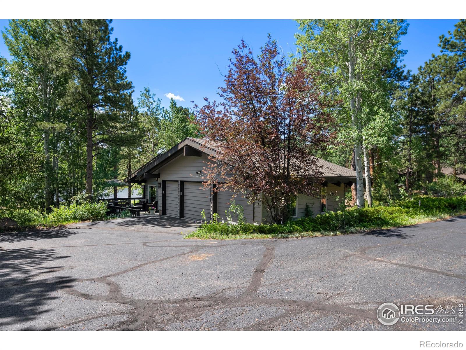 MLS Image #15 for 210  fox acres drive,red feather lakes, Colorado