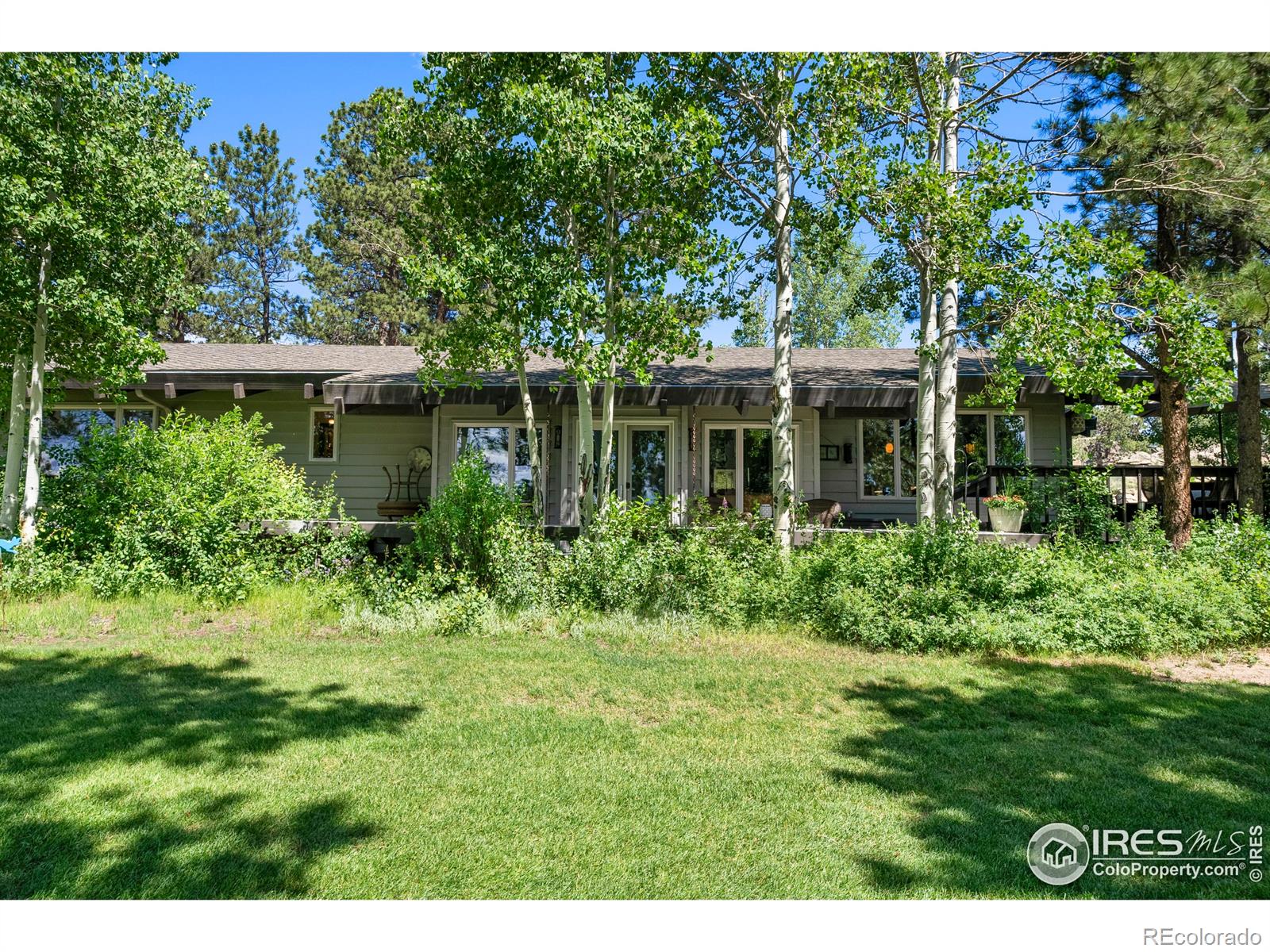 MLS Image #16 for 210  fox acres drive,red feather lakes, Colorado