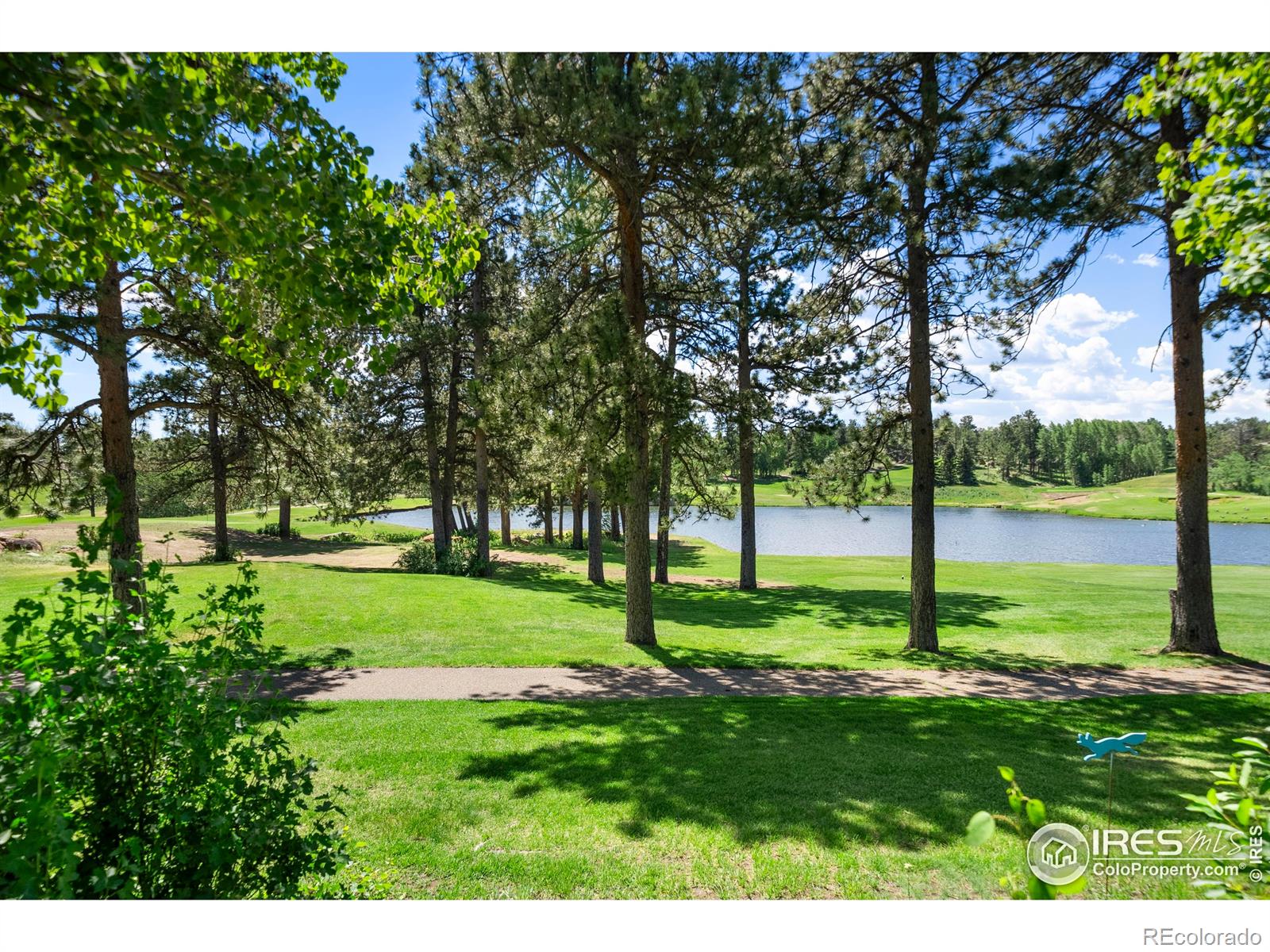 MLS Image #2 for 210  fox acres drive,red feather lakes, Colorado