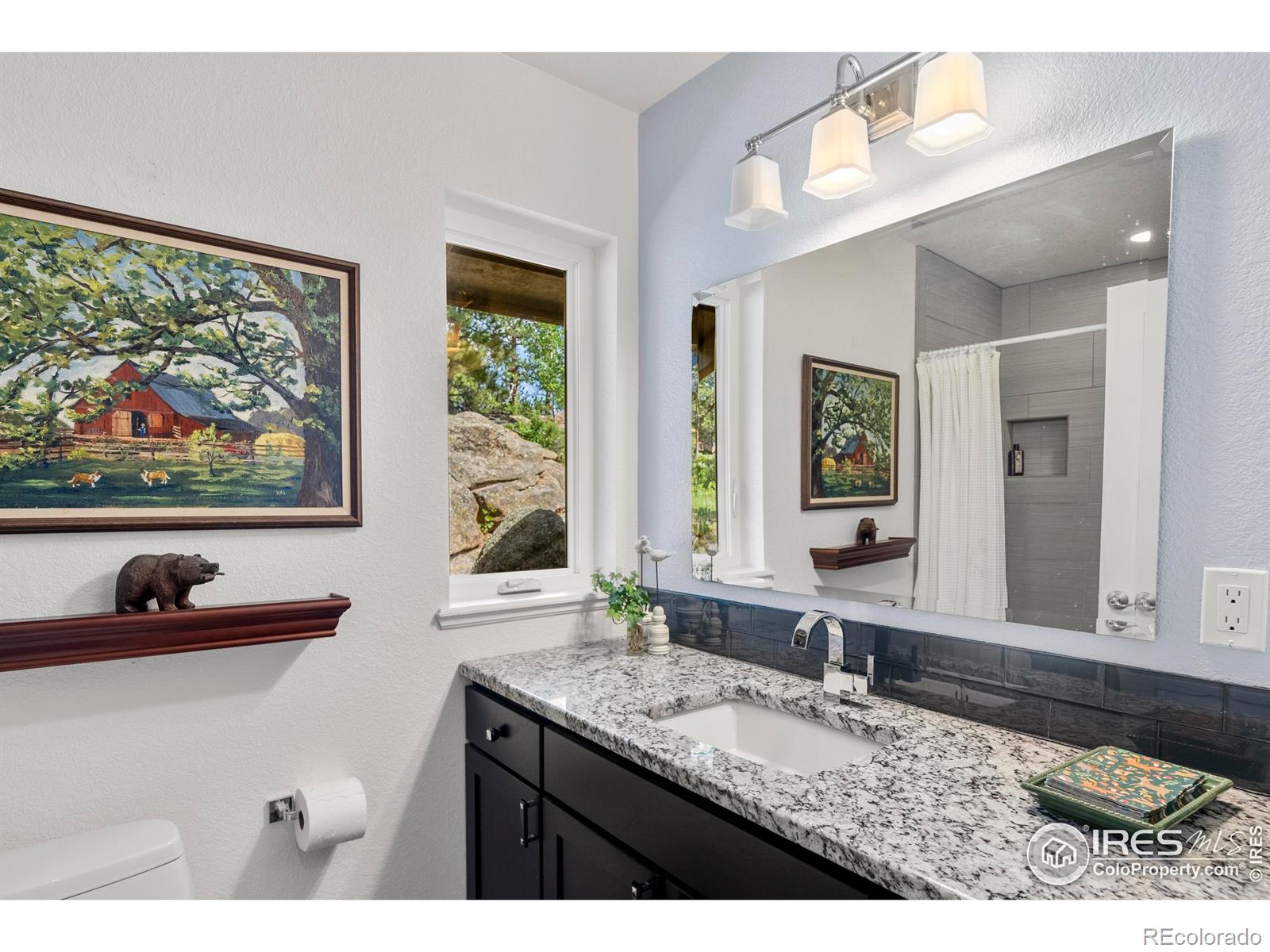 MLS Image #27 for 210  fox acres drive,red feather lakes, Colorado