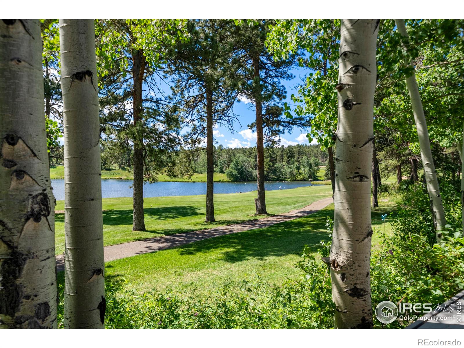 MLS Image #3 for 210  fox acres drive,red feather lakes, Colorado