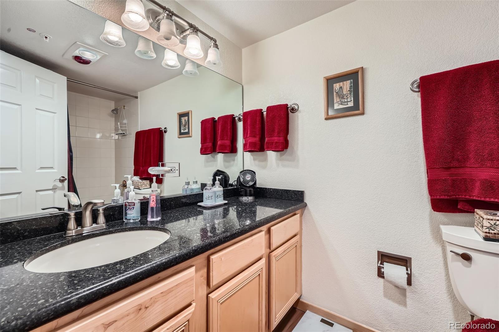 MLS Image #16 for 980  lakepoint drive,frisco, Colorado