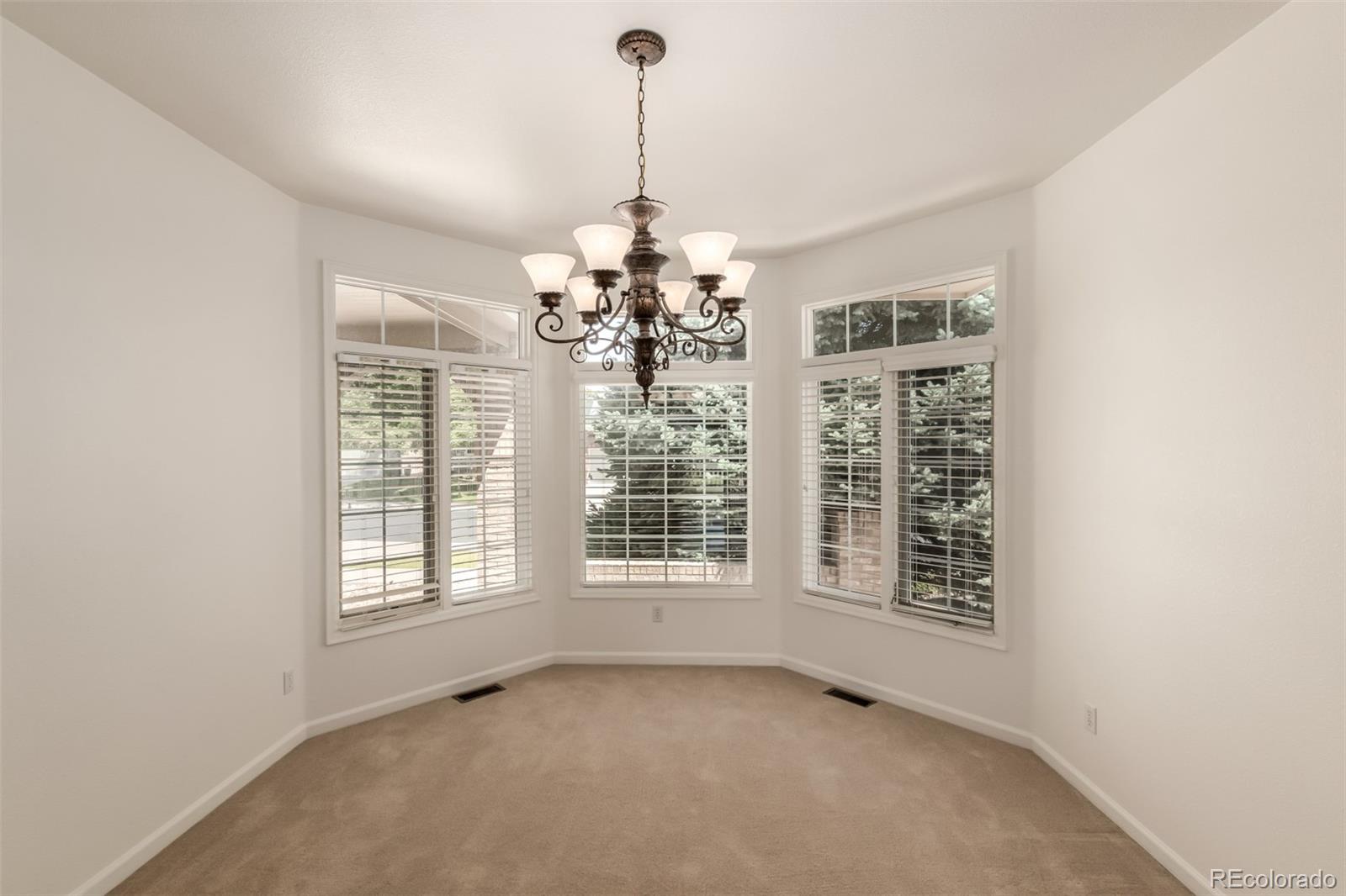 MLS Image #6 for 5322  shetland court,highlands ranch, Colorado