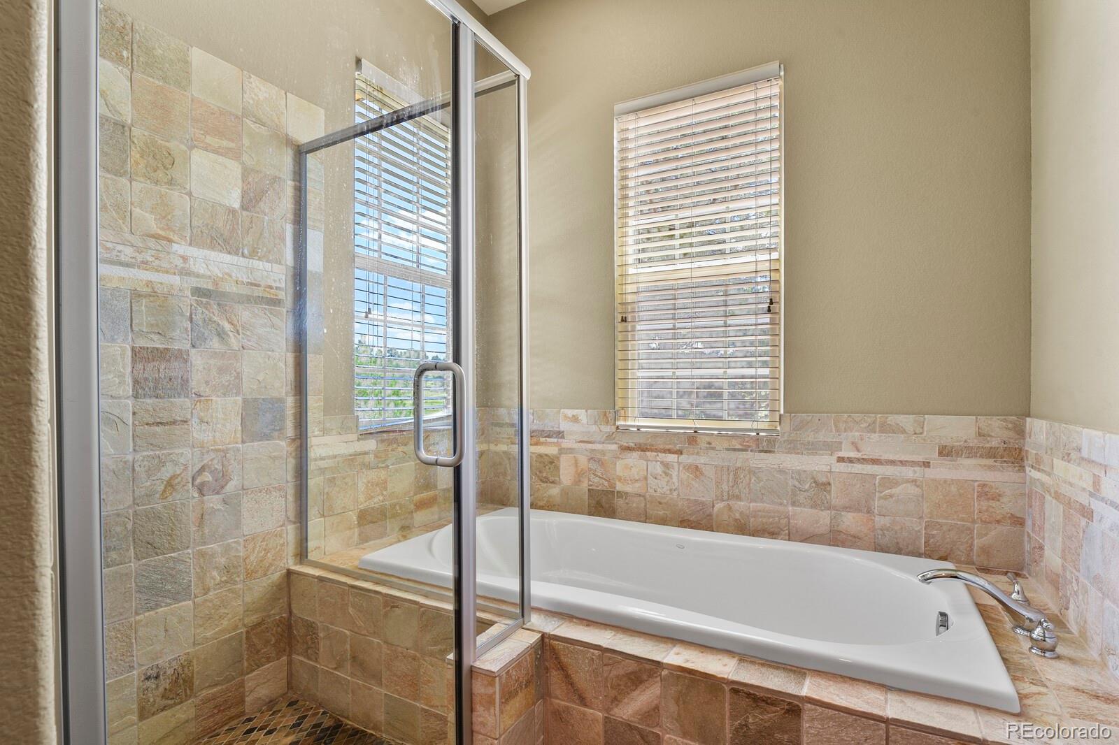 MLS Image #19 for 11268  bell cross circle,parker, Colorado
