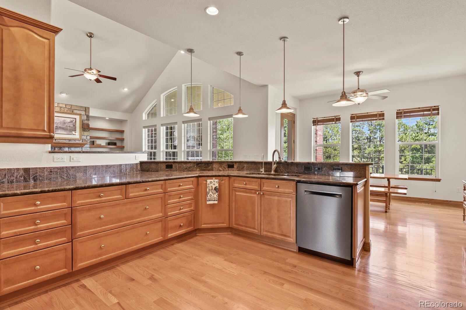 MLS Image #7 for 11268  bell cross circle,parker, Colorado