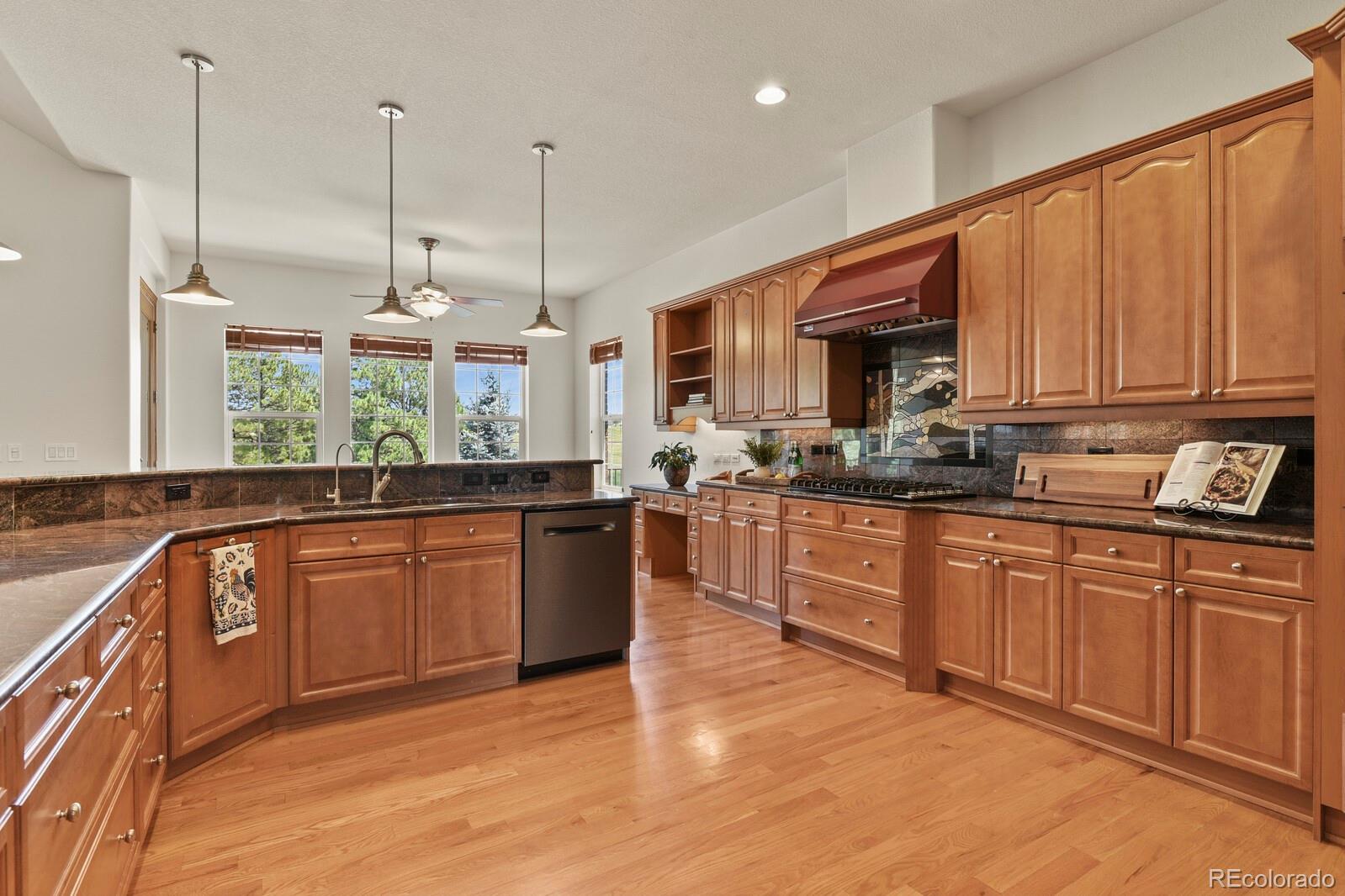 MLS Image #8 for 11268  bell cross circle,parker, Colorado