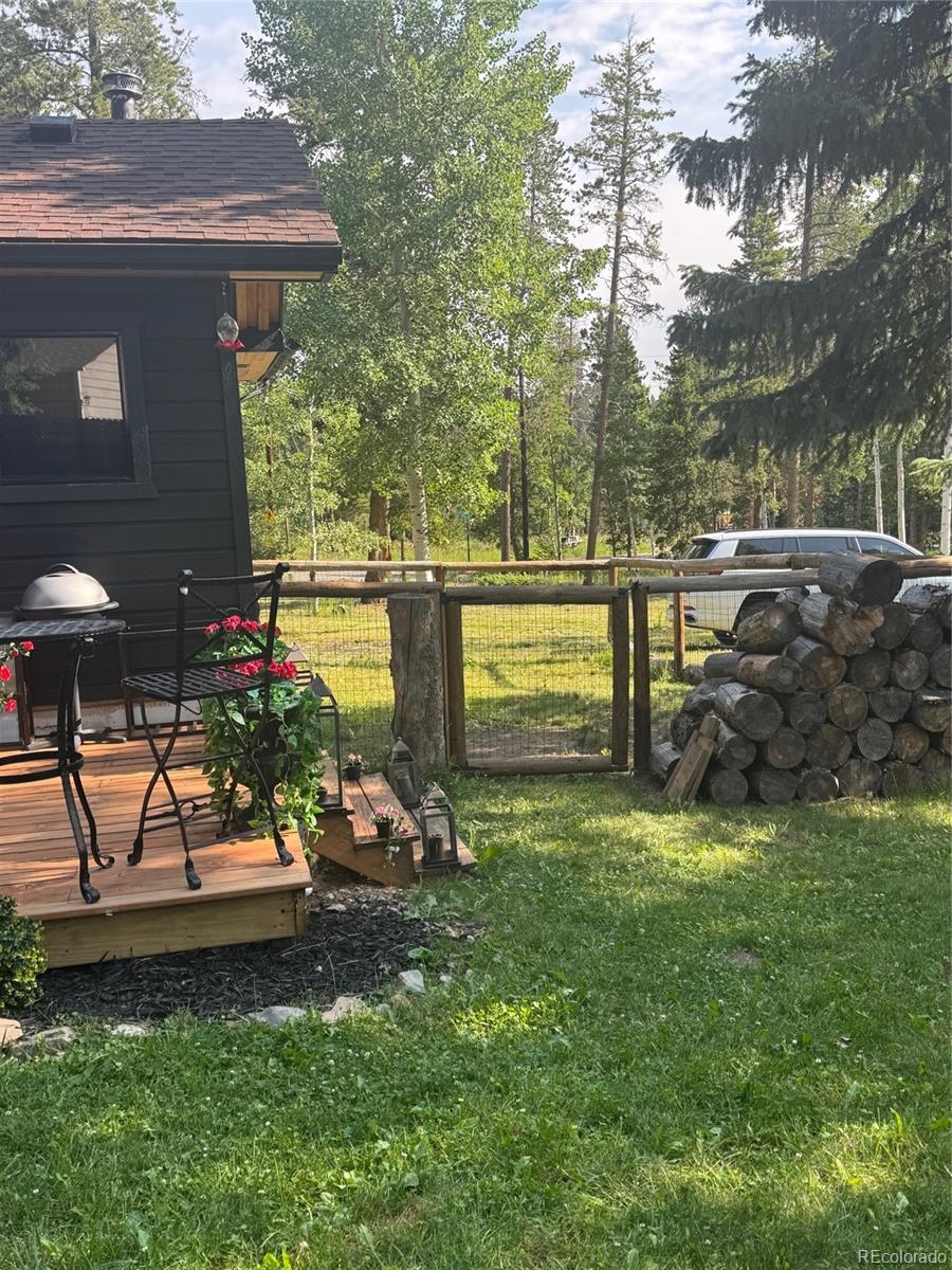 MLS Image #4 for 22656  oehlmann park road,conifer, Colorado