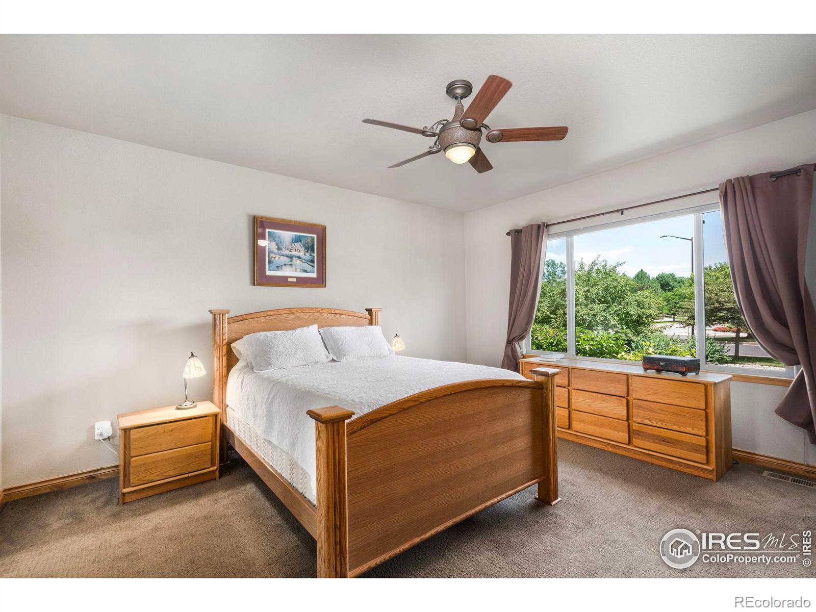 MLS Image #10 for 3175  crooked wash drive,loveland, Colorado