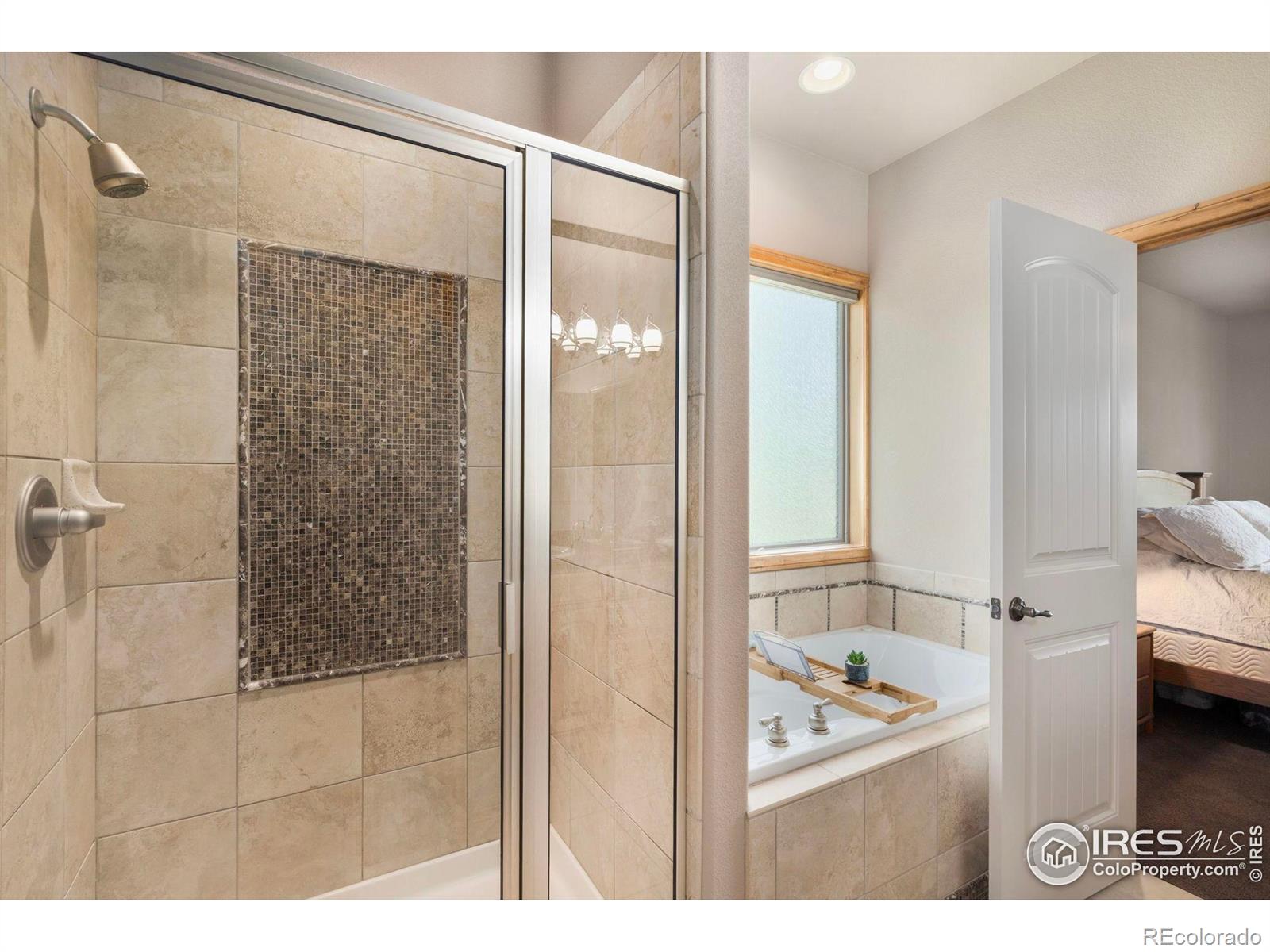MLS Image #13 for 3175  crooked wash drive,loveland, Colorado