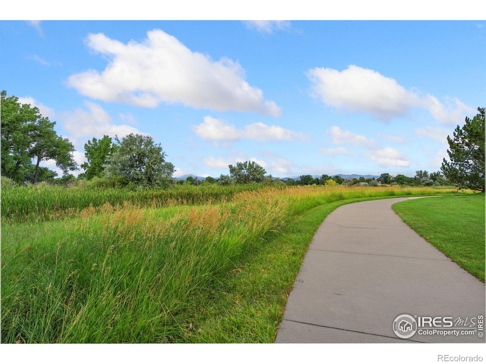 MLS Image #29 for 3175  crooked wash drive,loveland, Colorado