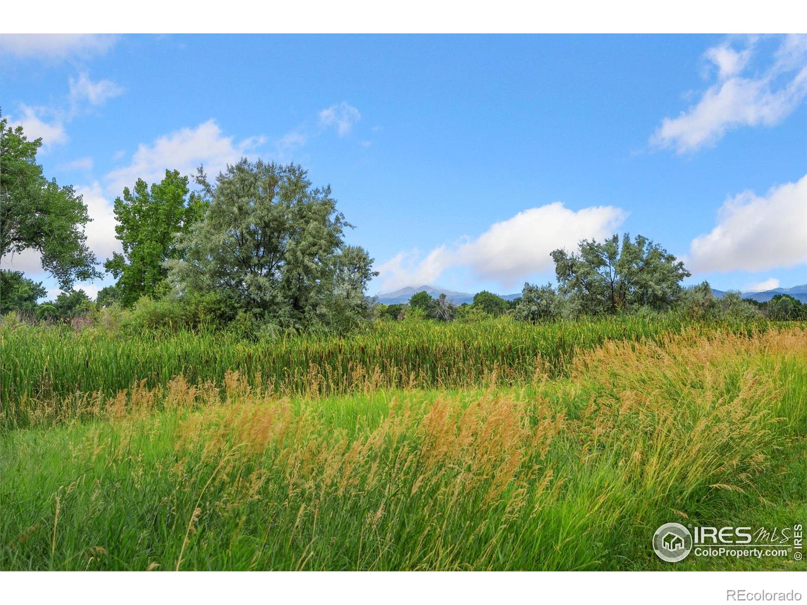 MLS Image #30 for 3175  crooked wash drive,loveland, Colorado