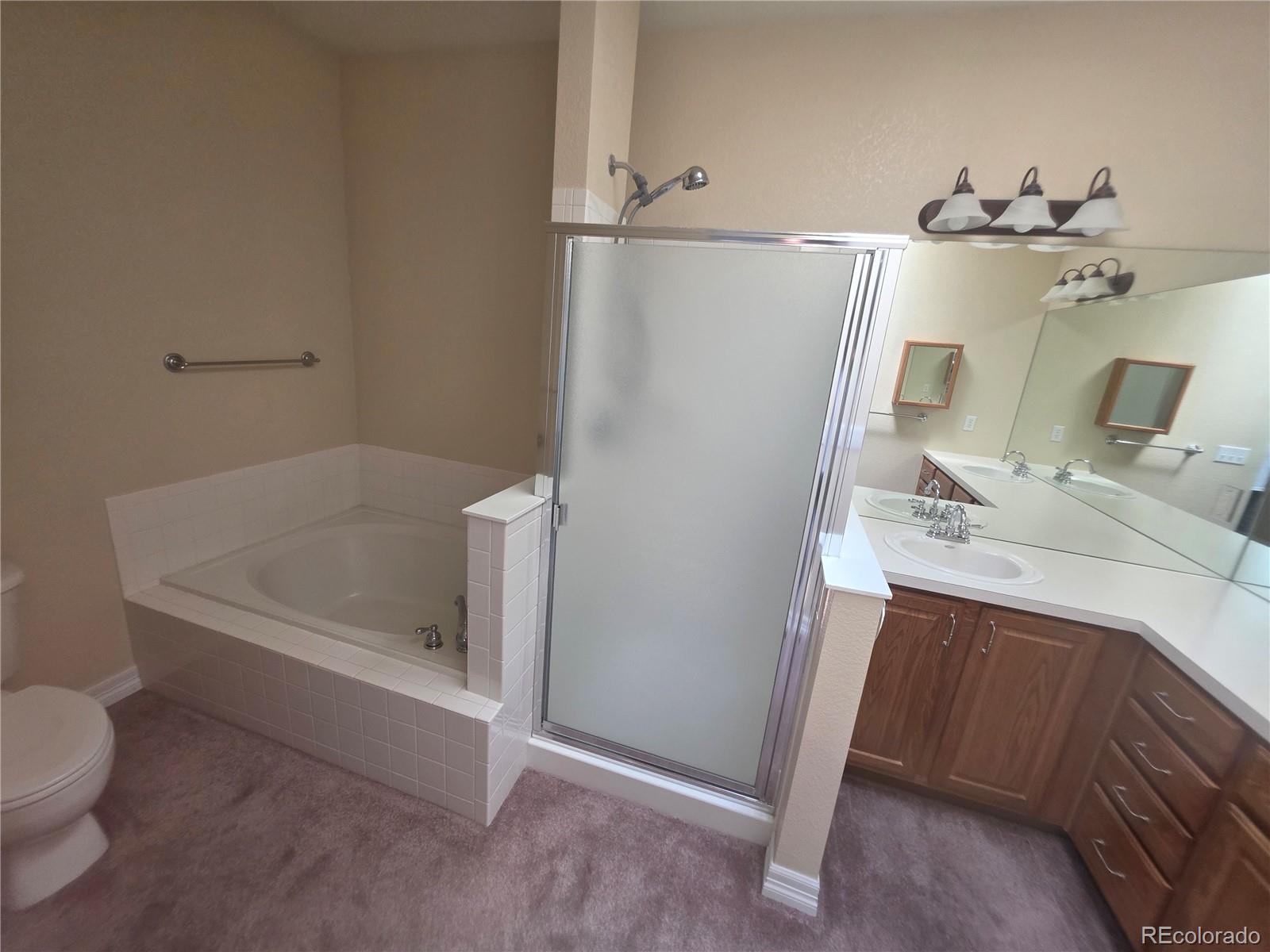 MLS Image #7 for 8911  tappy toorie place,highlands ranch, Colorado