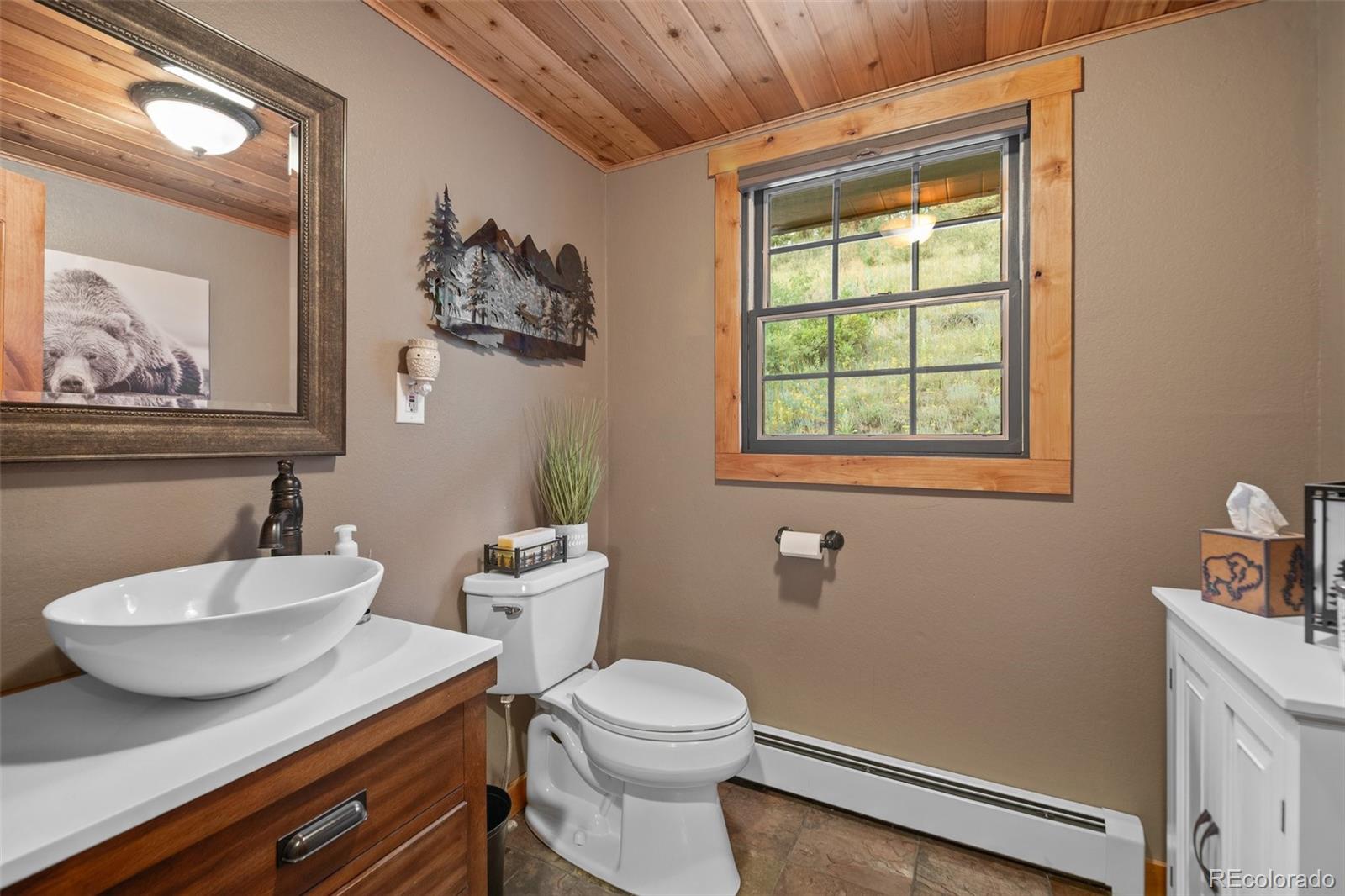 MLS Image #15 for 67  thistle trail,idaho springs, Colorado