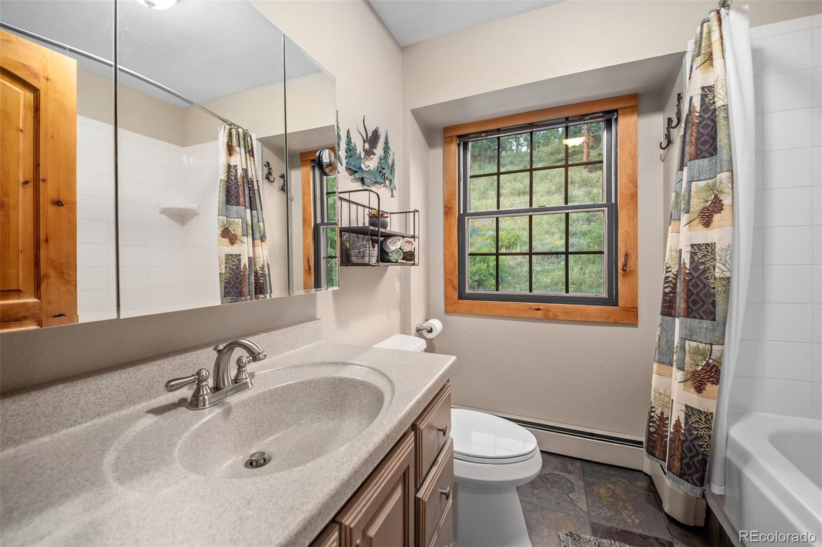 MLS Image #21 for 67  thistle trail,idaho springs, Colorado