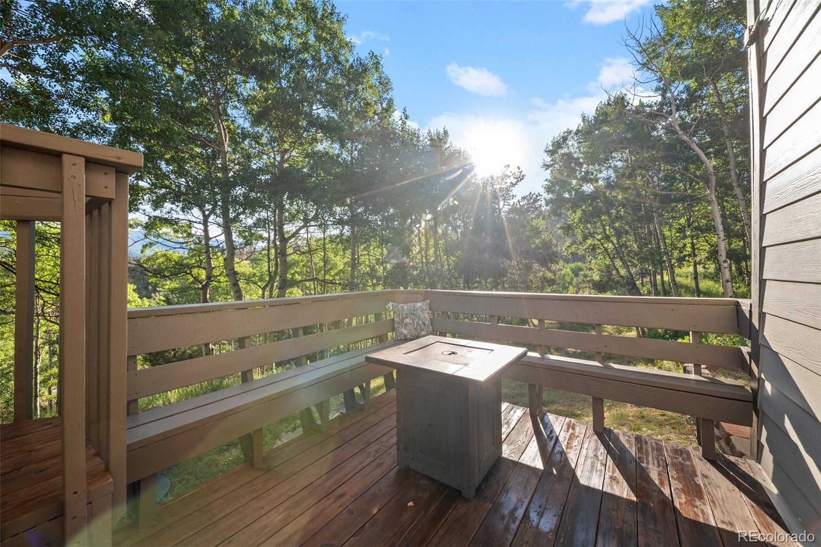 MLS Image #33 for 67  thistle trail,idaho springs, Colorado