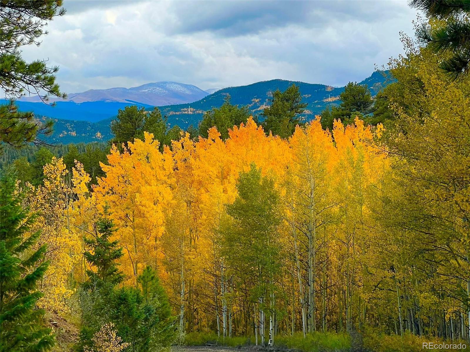 MLS Image #41 for 67  thistle trail,idaho springs, Colorado