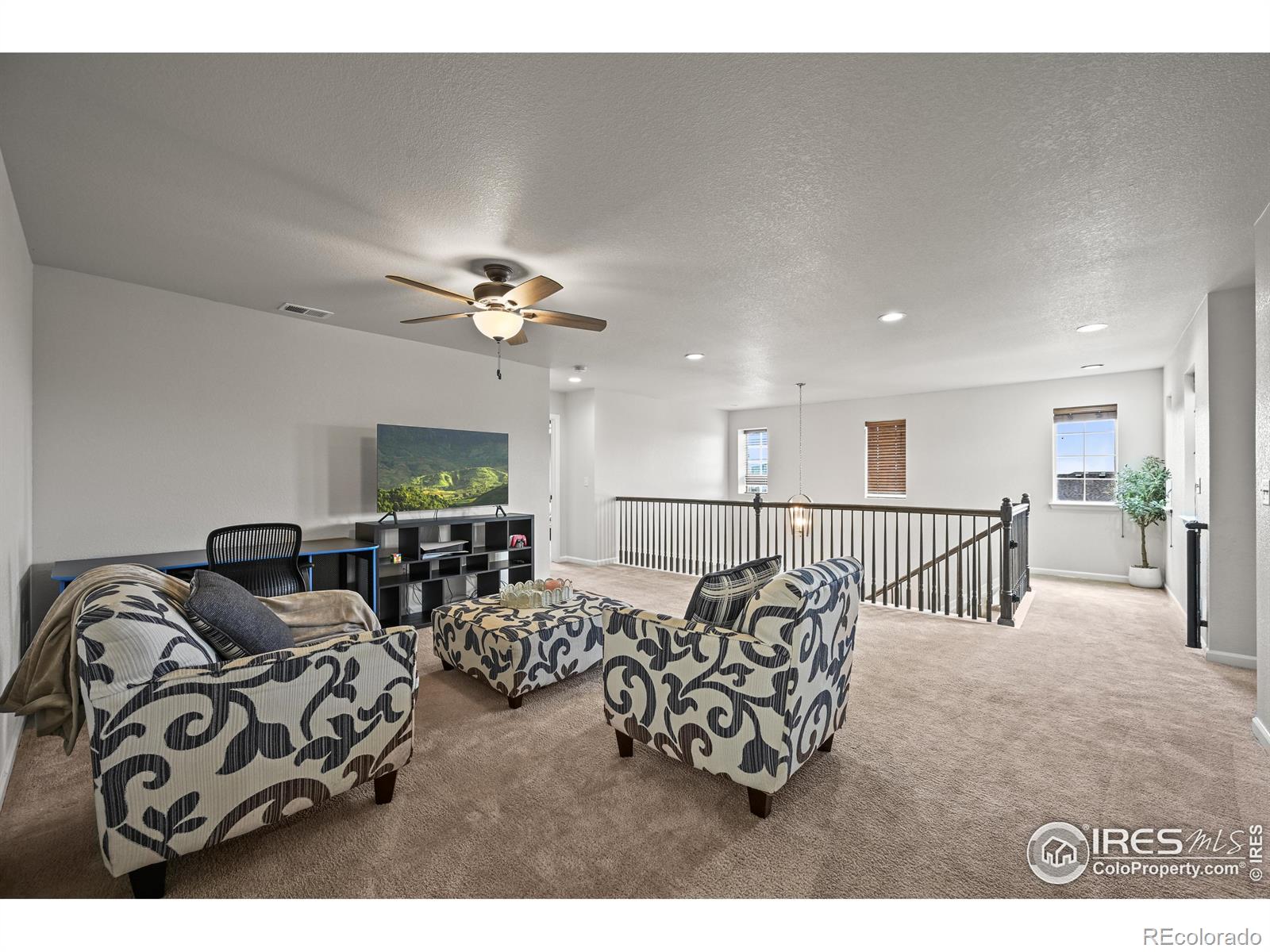 MLS Image #12 for 12648  canoe street,firestone, Colorado