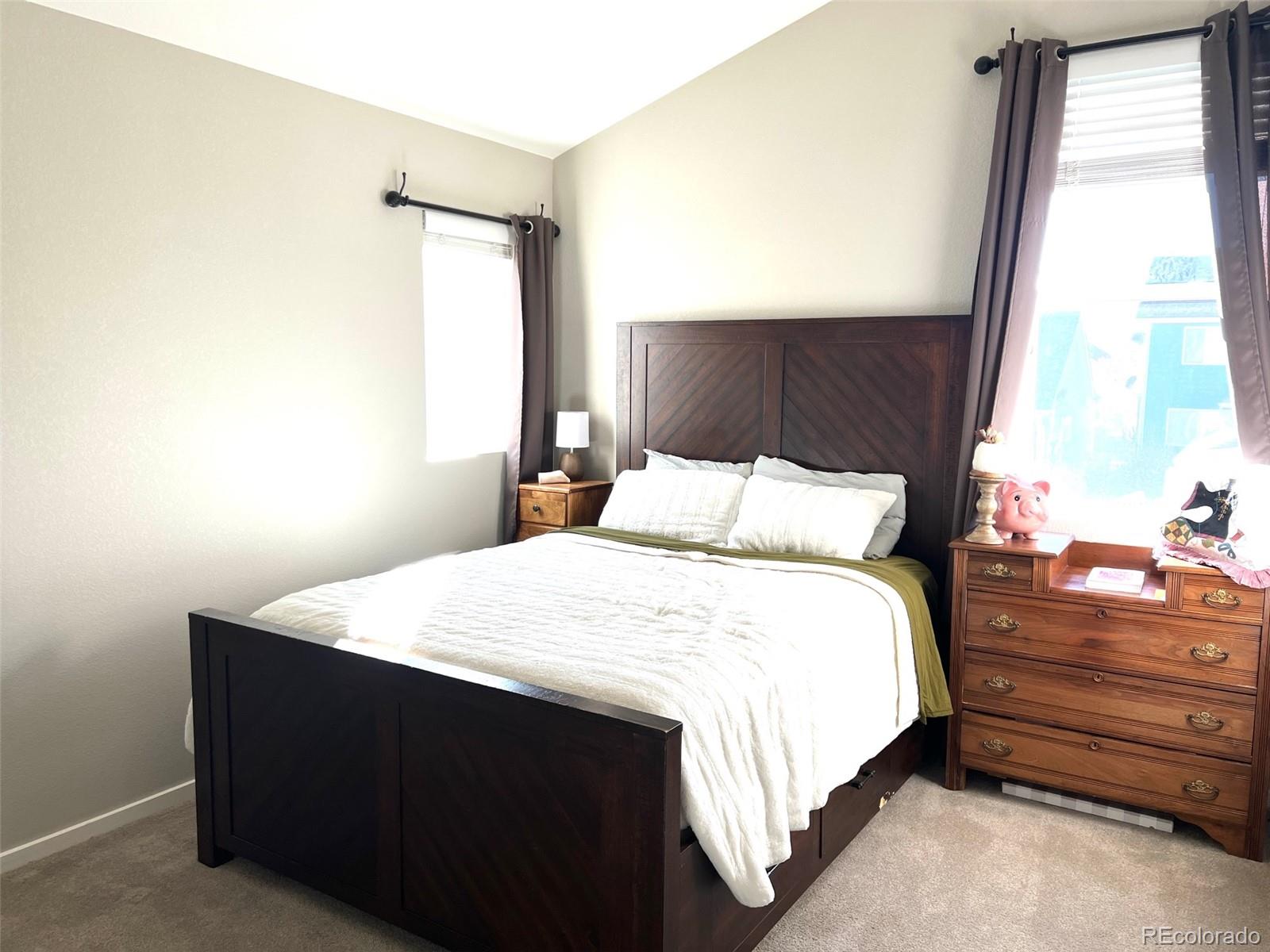MLS Image #11 for 4591  crestone peak street,brighton, Colorado