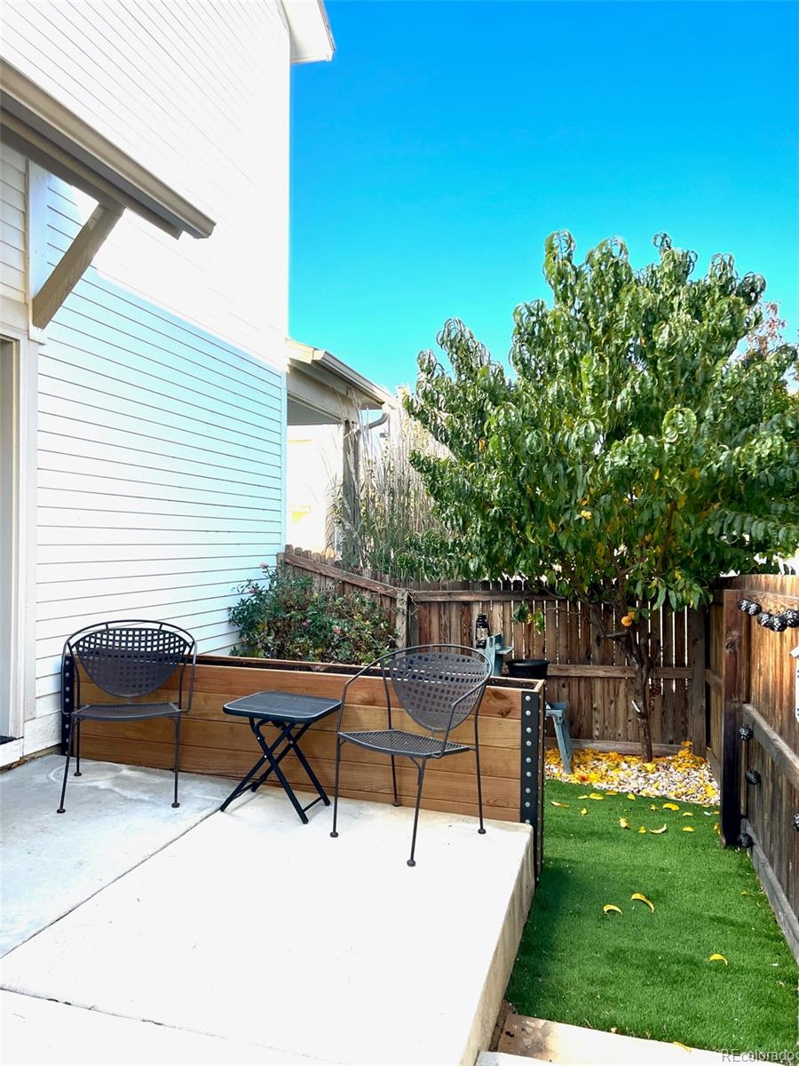 MLS Image #20 for 4591  crestone peak street,brighton, Colorado