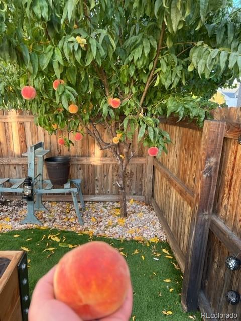 MLS Image #21 for 4591  crestone peak street,brighton, Colorado