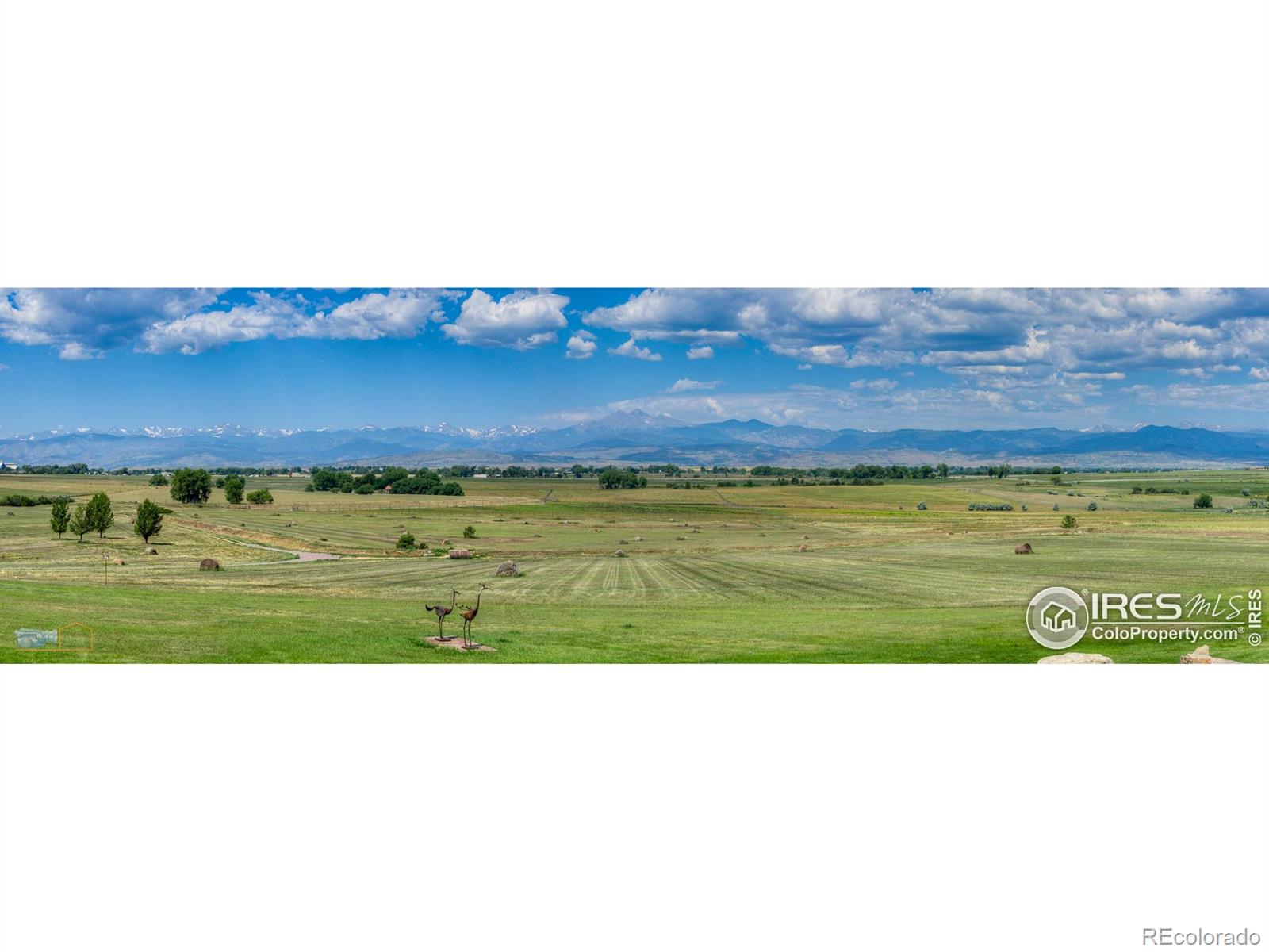 MLS Image #14 for 15137 e county line road,longmont, Colorado