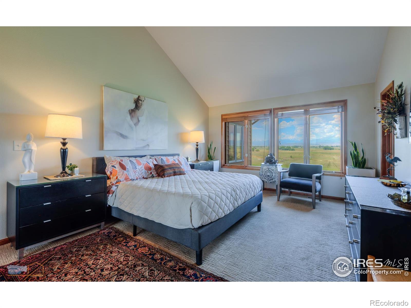 MLS Image #22 for 15137 e county line road,longmont, Colorado