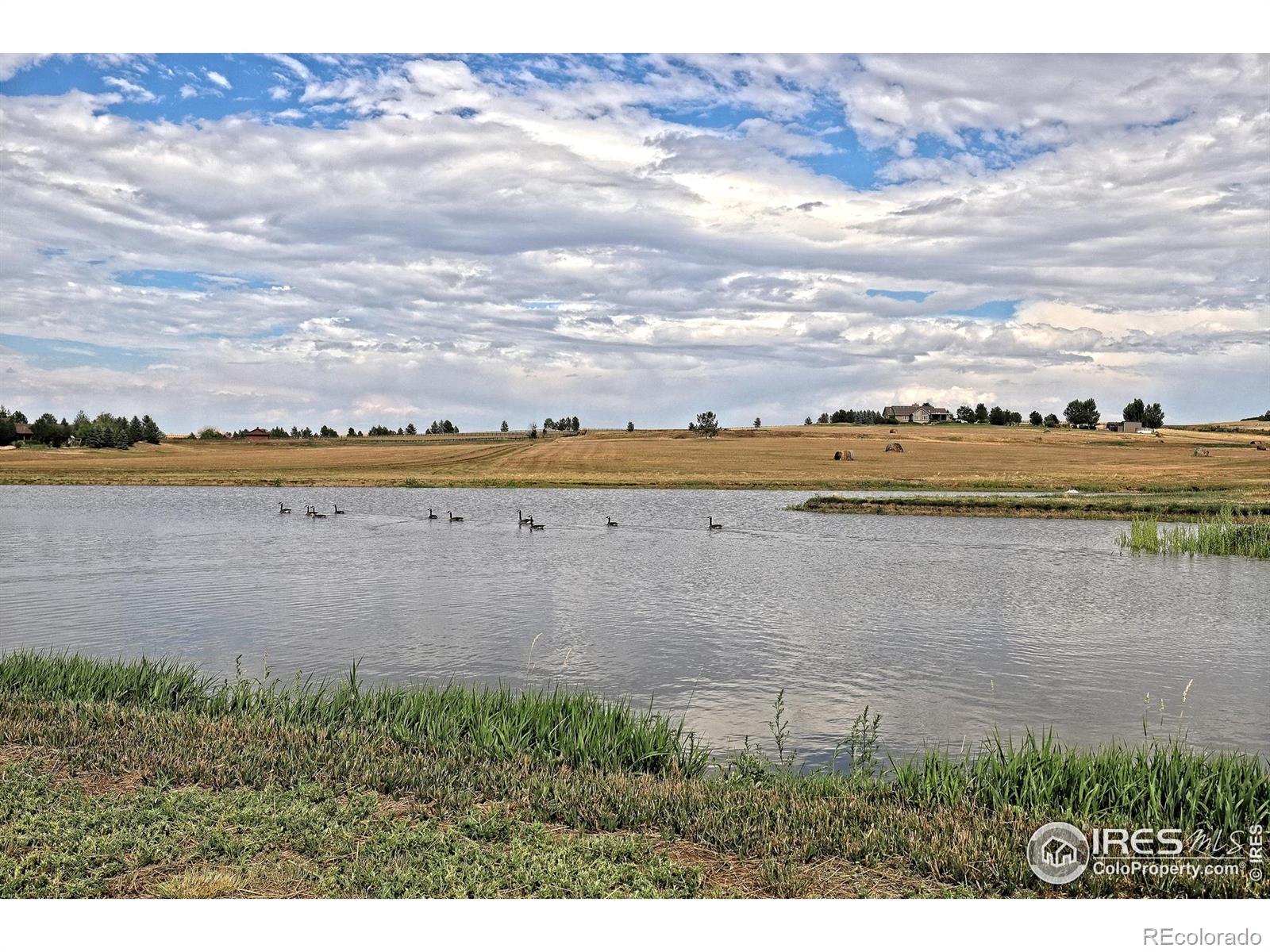MLS Image #35 for 15137 e county line road,longmont, Colorado