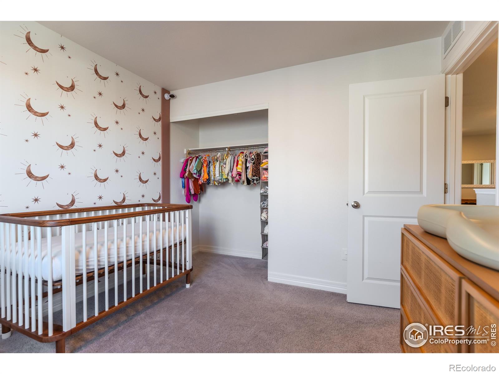 MLS Image #13 for 2355  saddle back court,fort lupton, Colorado