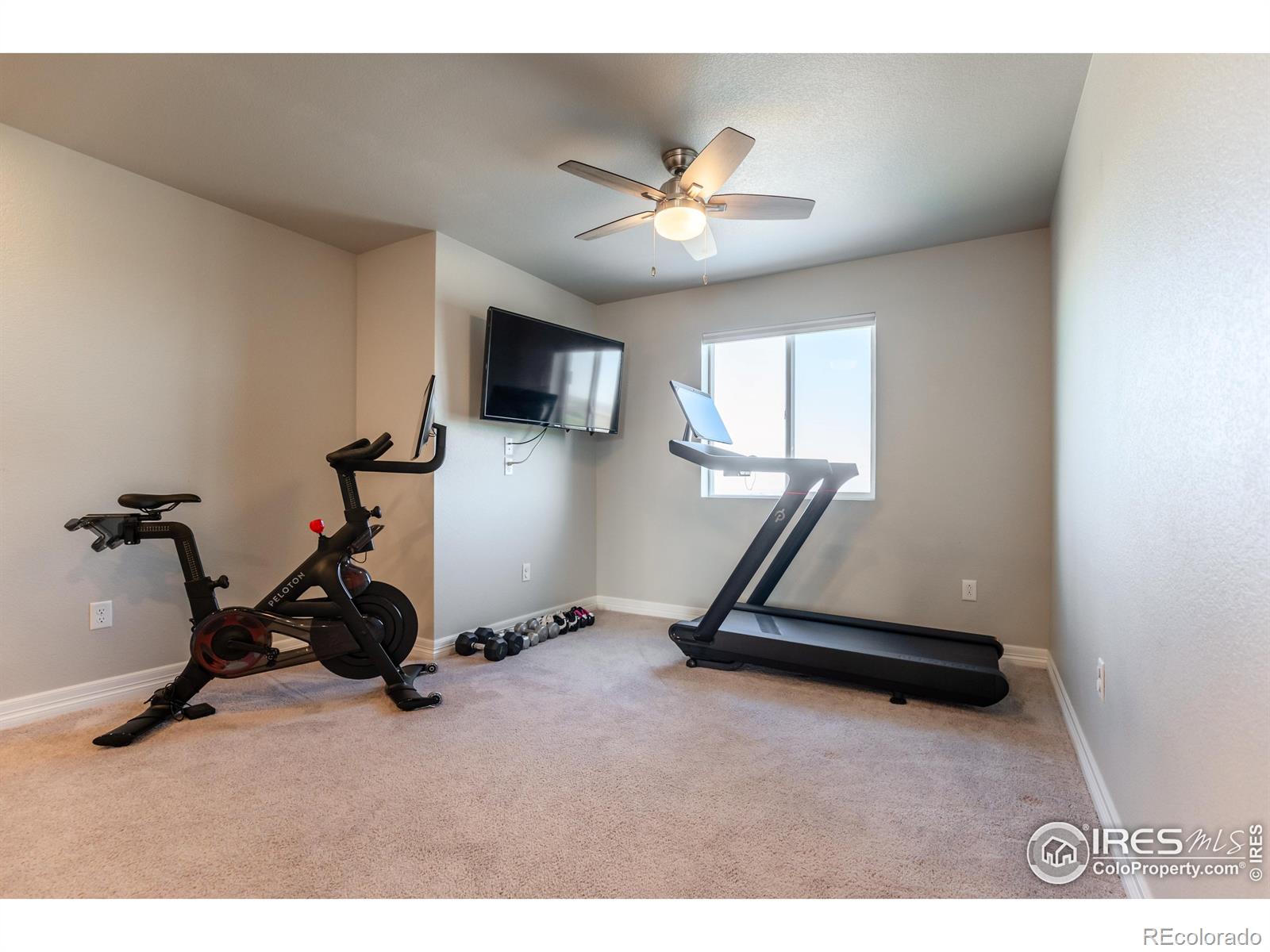 MLS Image #19 for 2355  saddle back court,fort lupton, Colorado