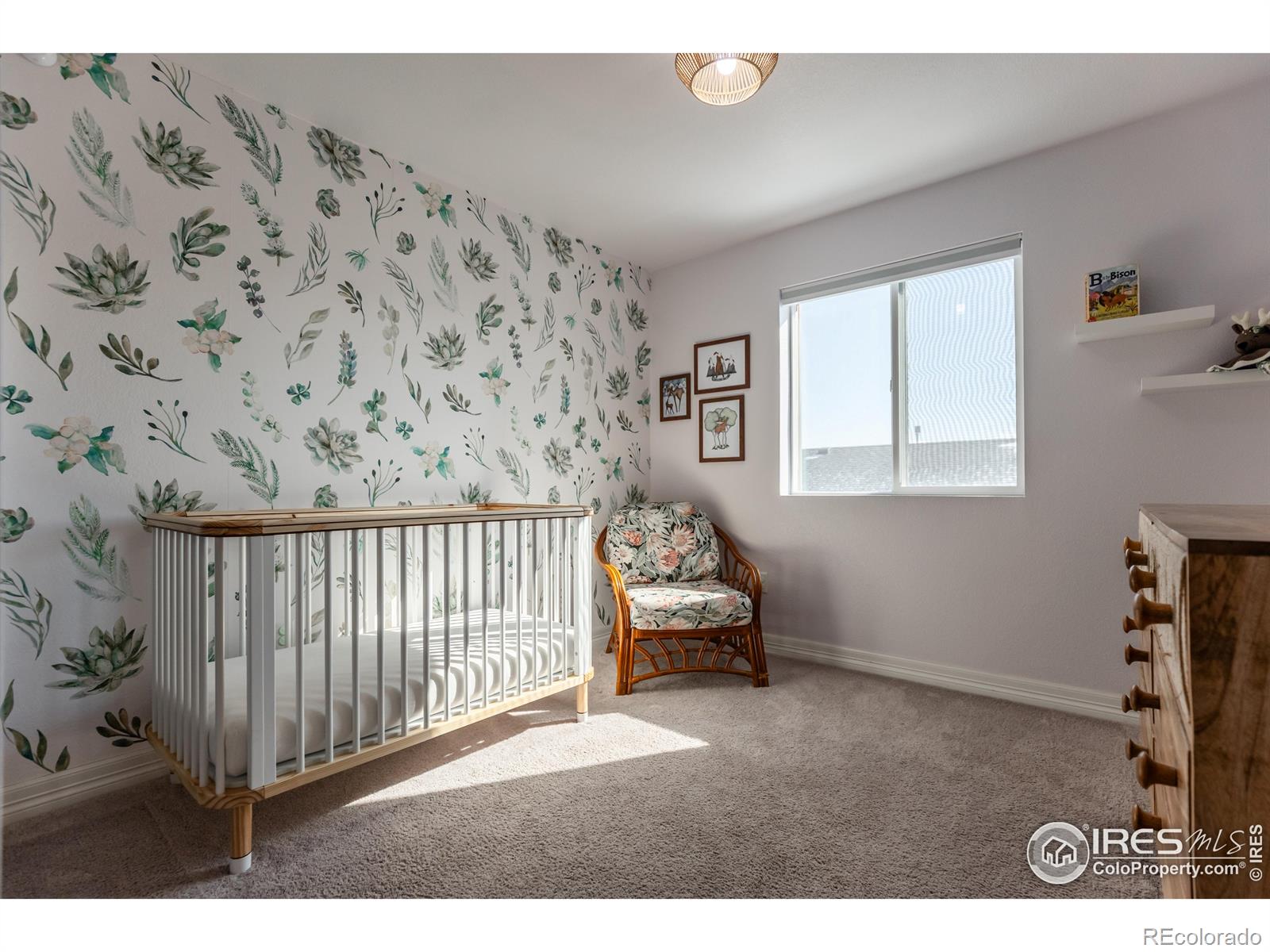 MLS Image #21 for 2355  saddle back court,fort lupton, Colorado