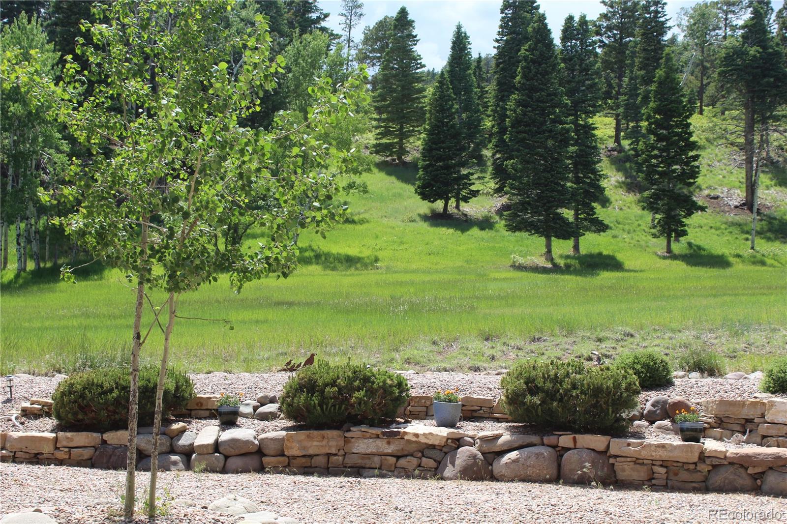 MLS Image #31 for 701  county road 159 ,westcliffe, Colorado