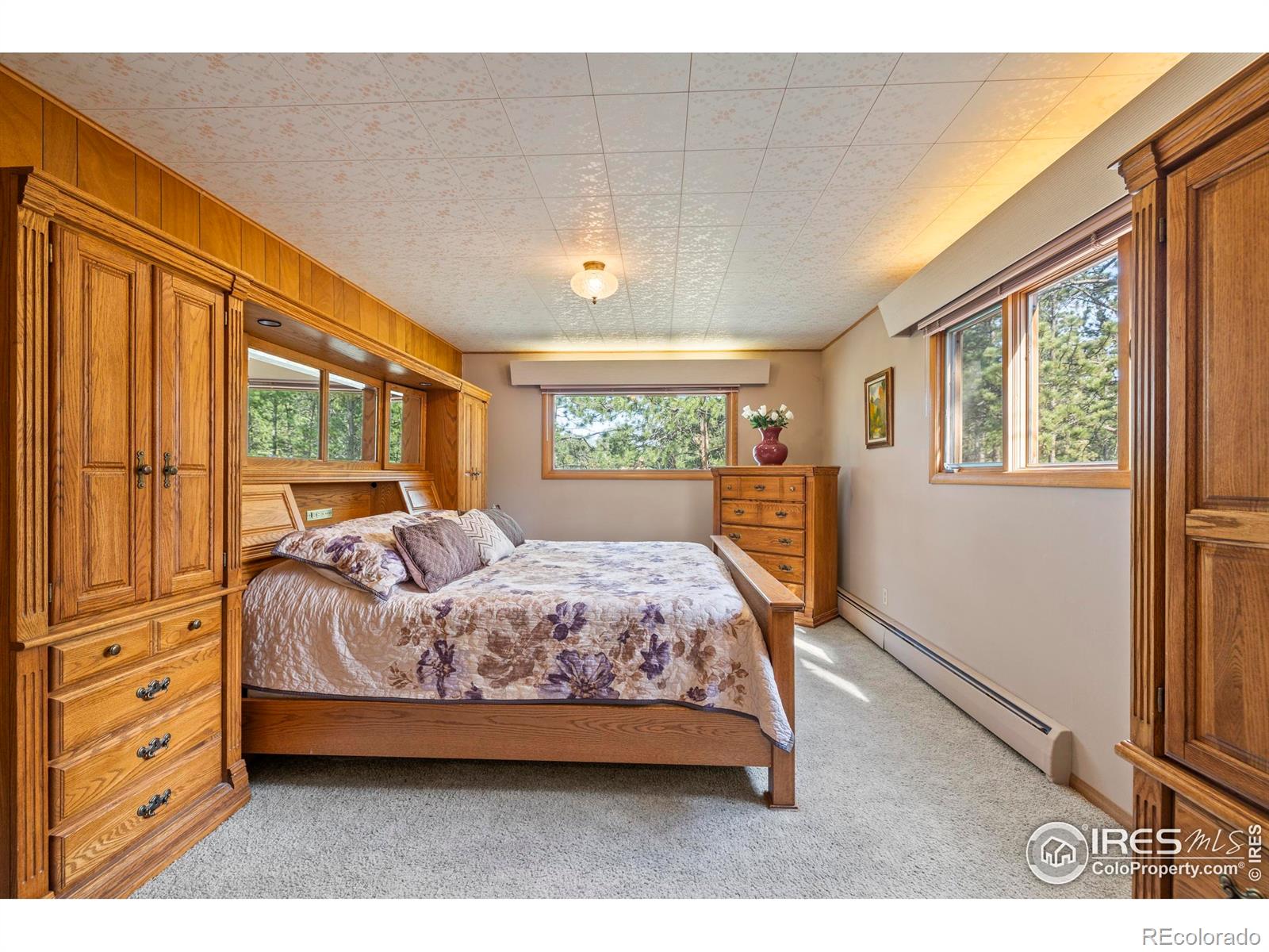 MLS Image #12 for 550  grand estates drive,estes park, Colorado