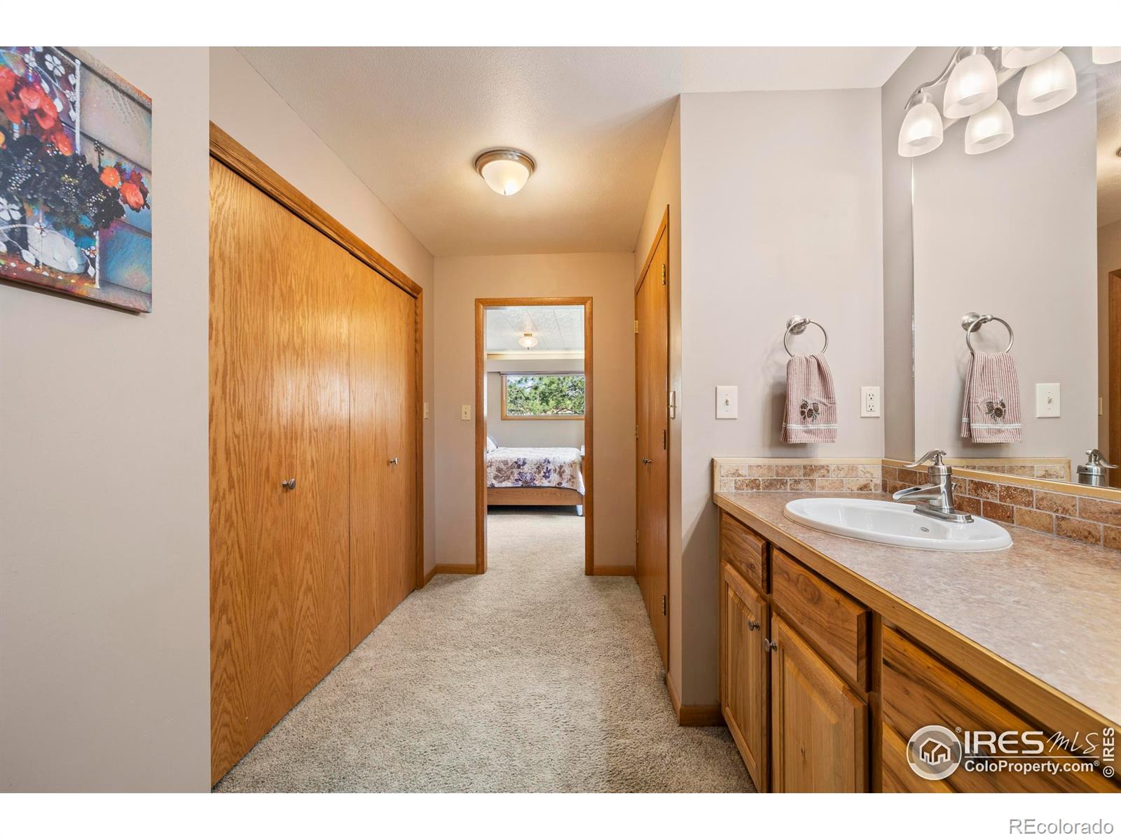 MLS Image #15 for 550  grand estates drive,estes park, Colorado