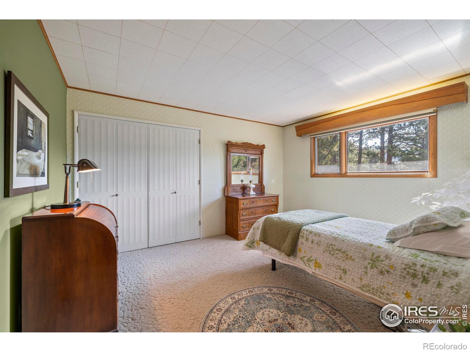 MLS Image #18 for 550  grand estates drive,estes park, Colorado