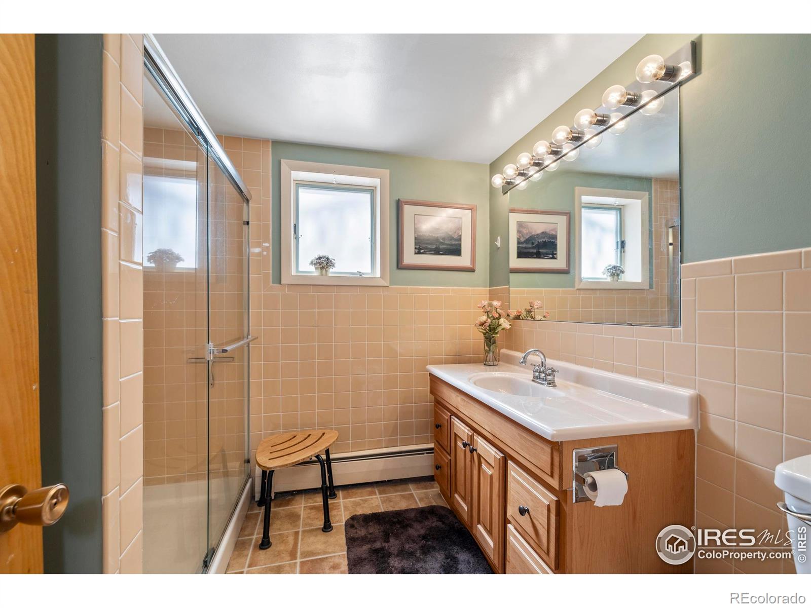 MLS Image #23 for 550  grand estates drive,estes park, Colorado