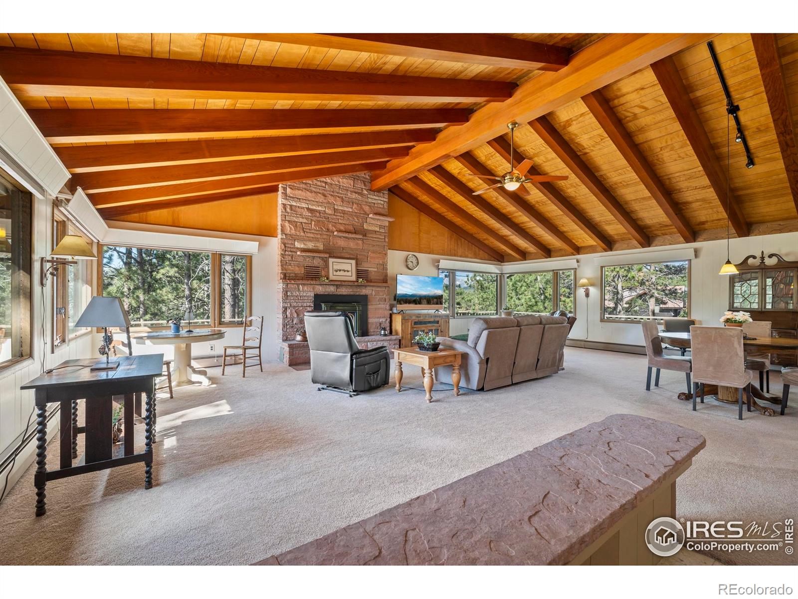 MLS Image #4 for 550  grand estates drive,estes park, Colorado