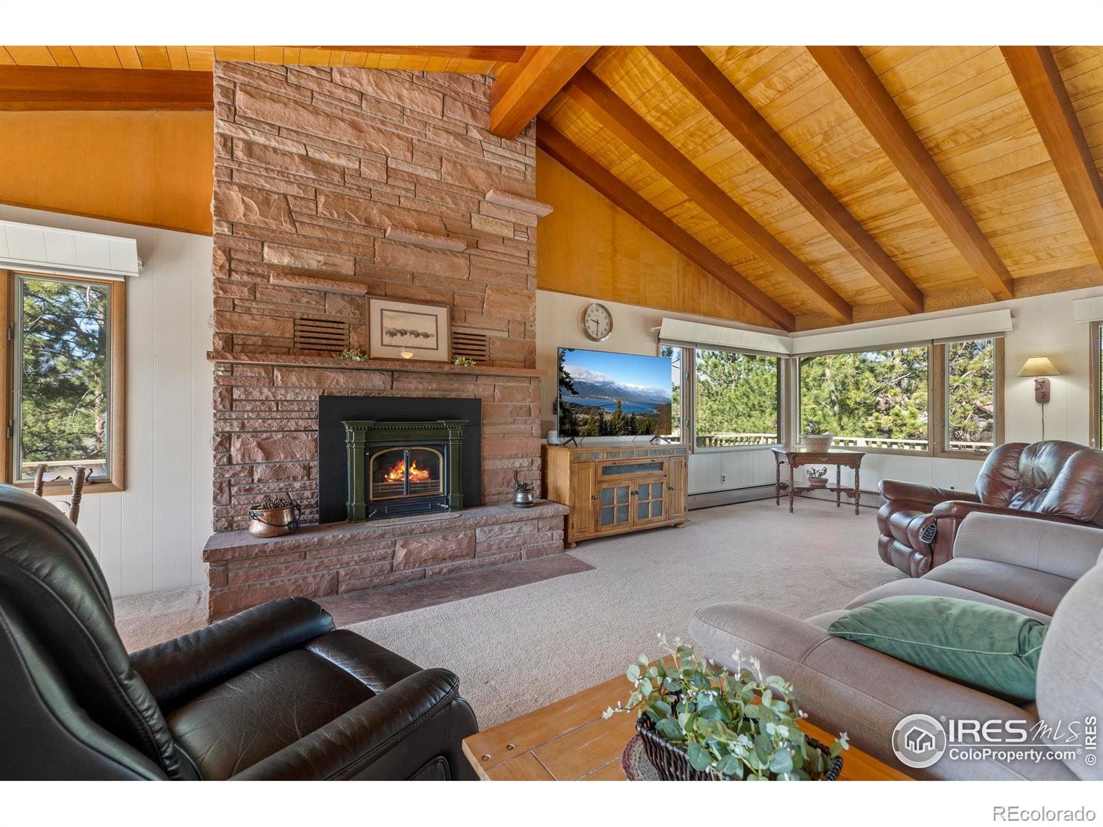 MLS Image #5 for 550  grand estates drive,estes park, Colorado