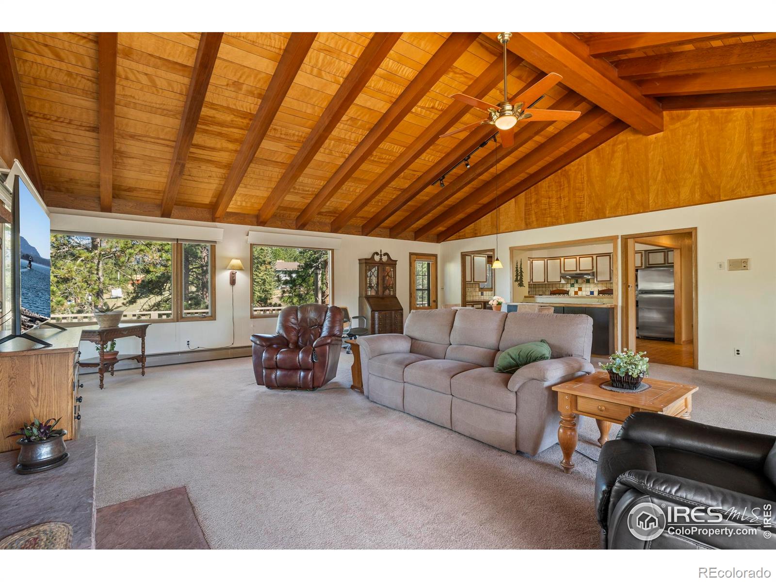 MLS Image #7 for 550  grand estates drive,estes park, Colorado