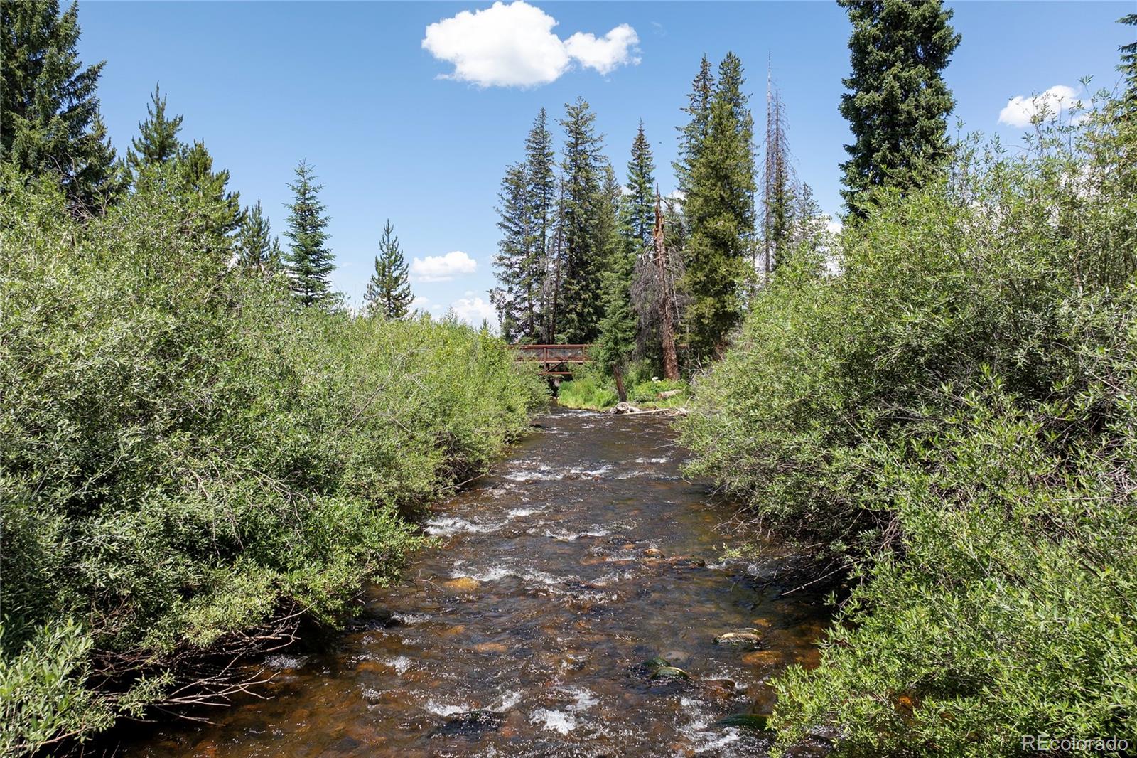 MLS Image #23 for 471  hi country drive,winter park, Colorado