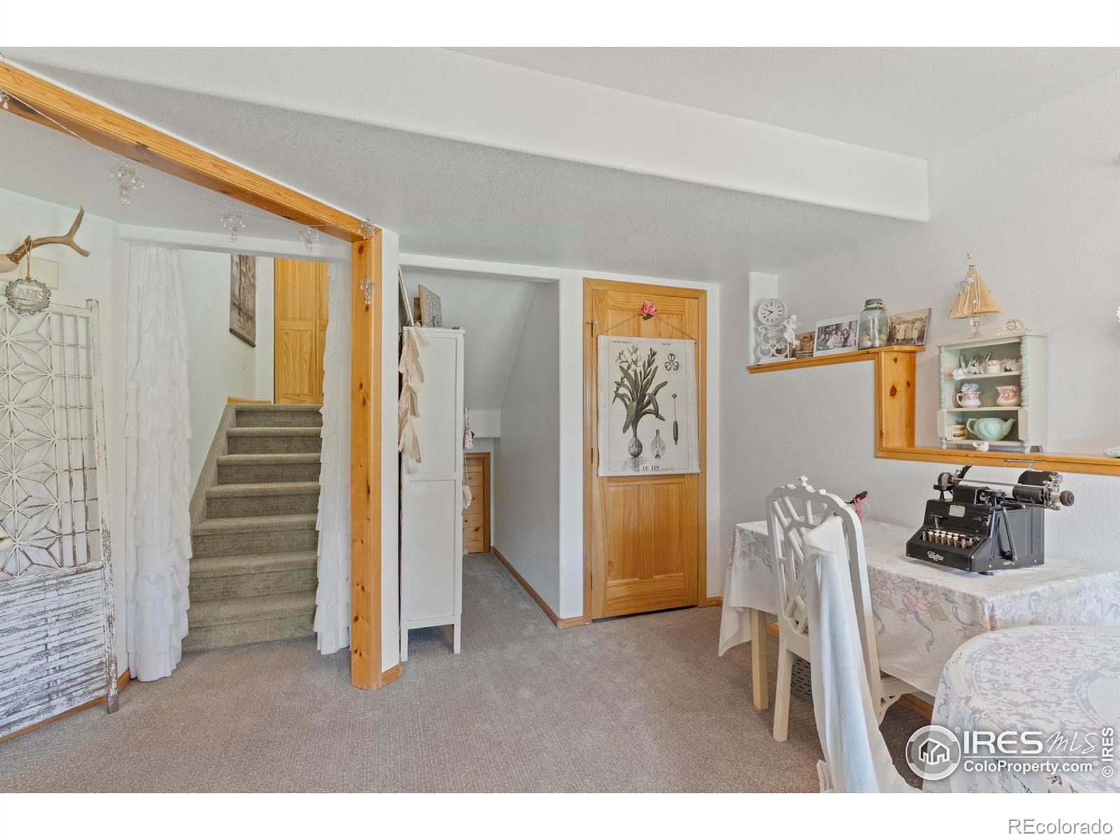 MLS Image #29 for 476  macgregor avenue,estes park, Colorado