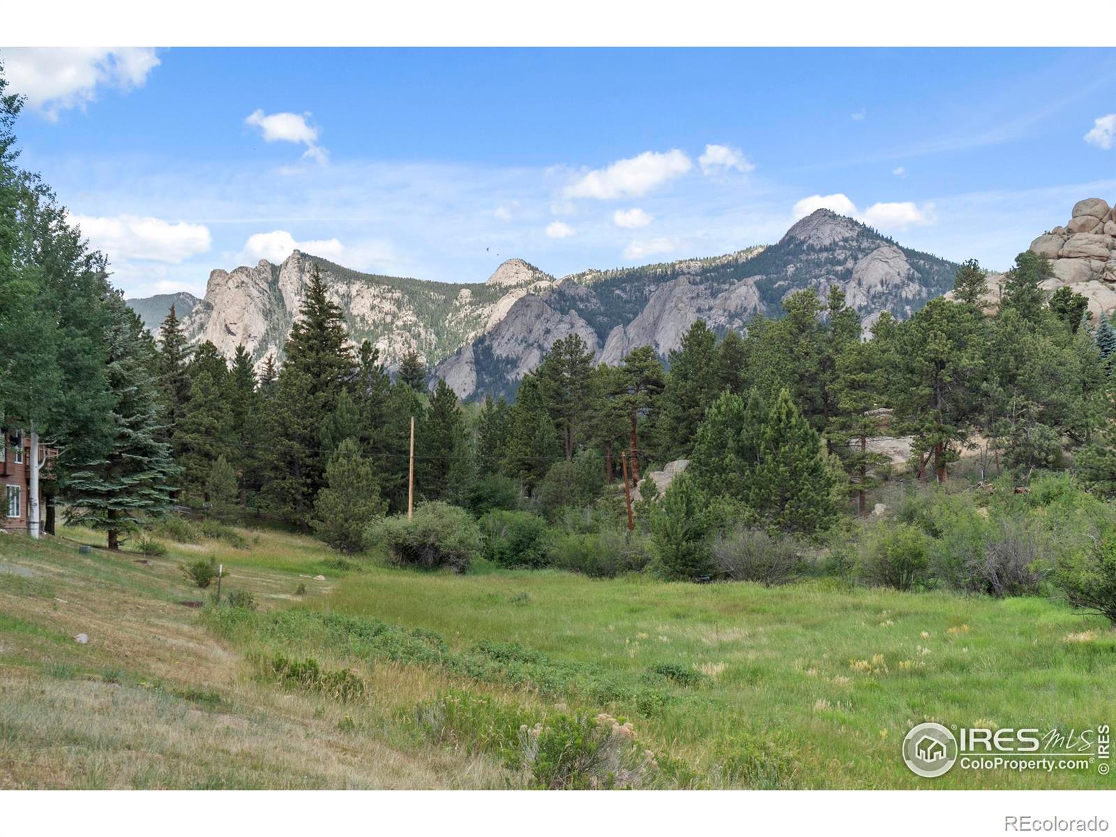 MLS Image #31 for 476  macgregor avenue,estes park, Colorado