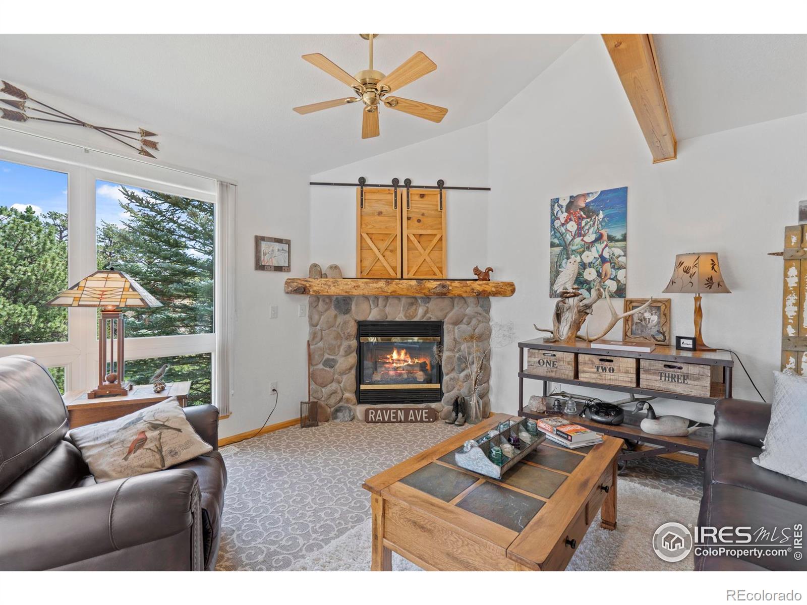 MLS Image #9 for 476  macgregor avenue,estes park, Colorado
