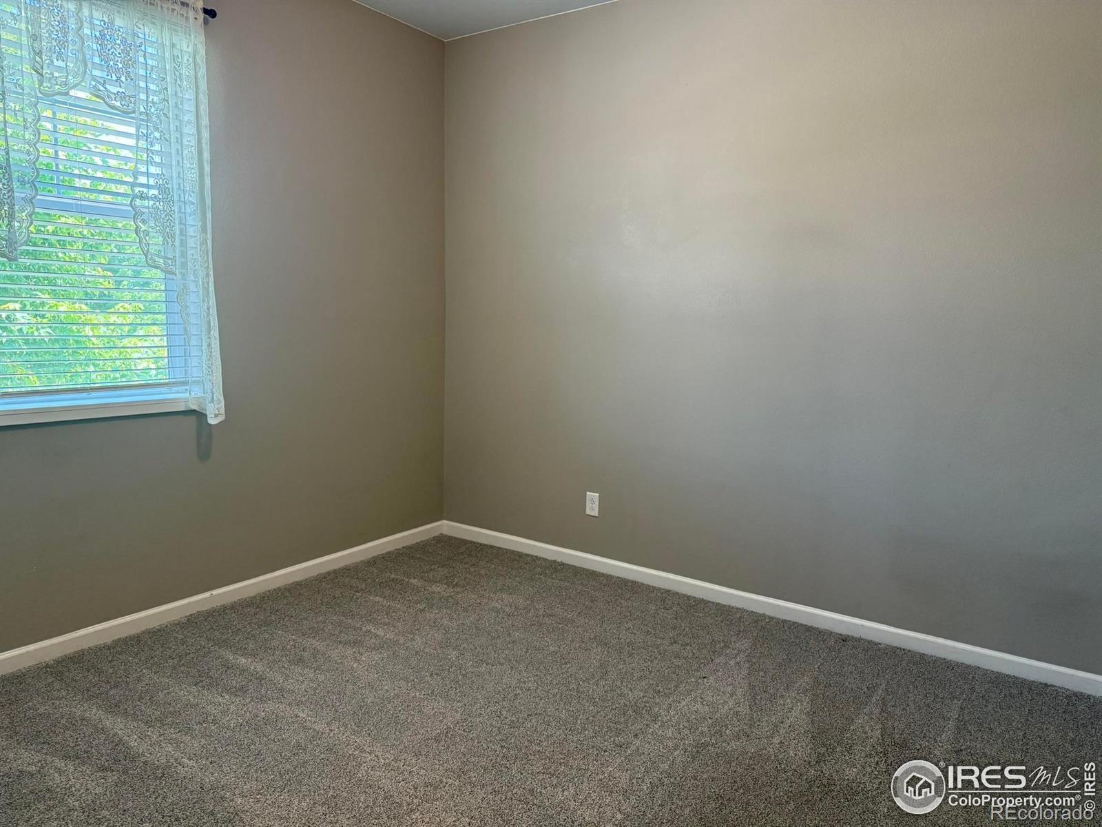 MLS Image #28 for 5536  bexley drive,windsor, Colorado