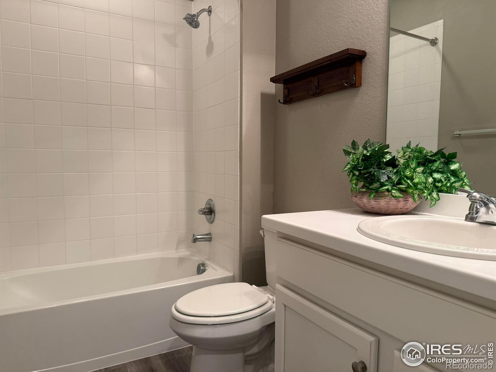 MLS Image #29 for 5536  bexley drive,windsor, Colorado