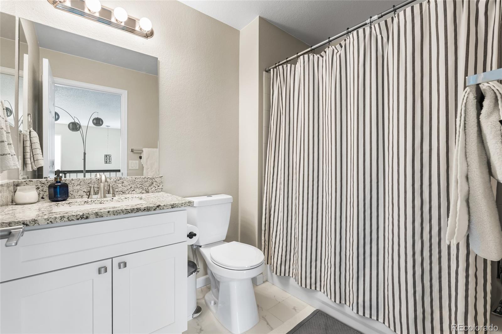 MLS Image #10 for 21535 e 39th avenue,denver, Colorado