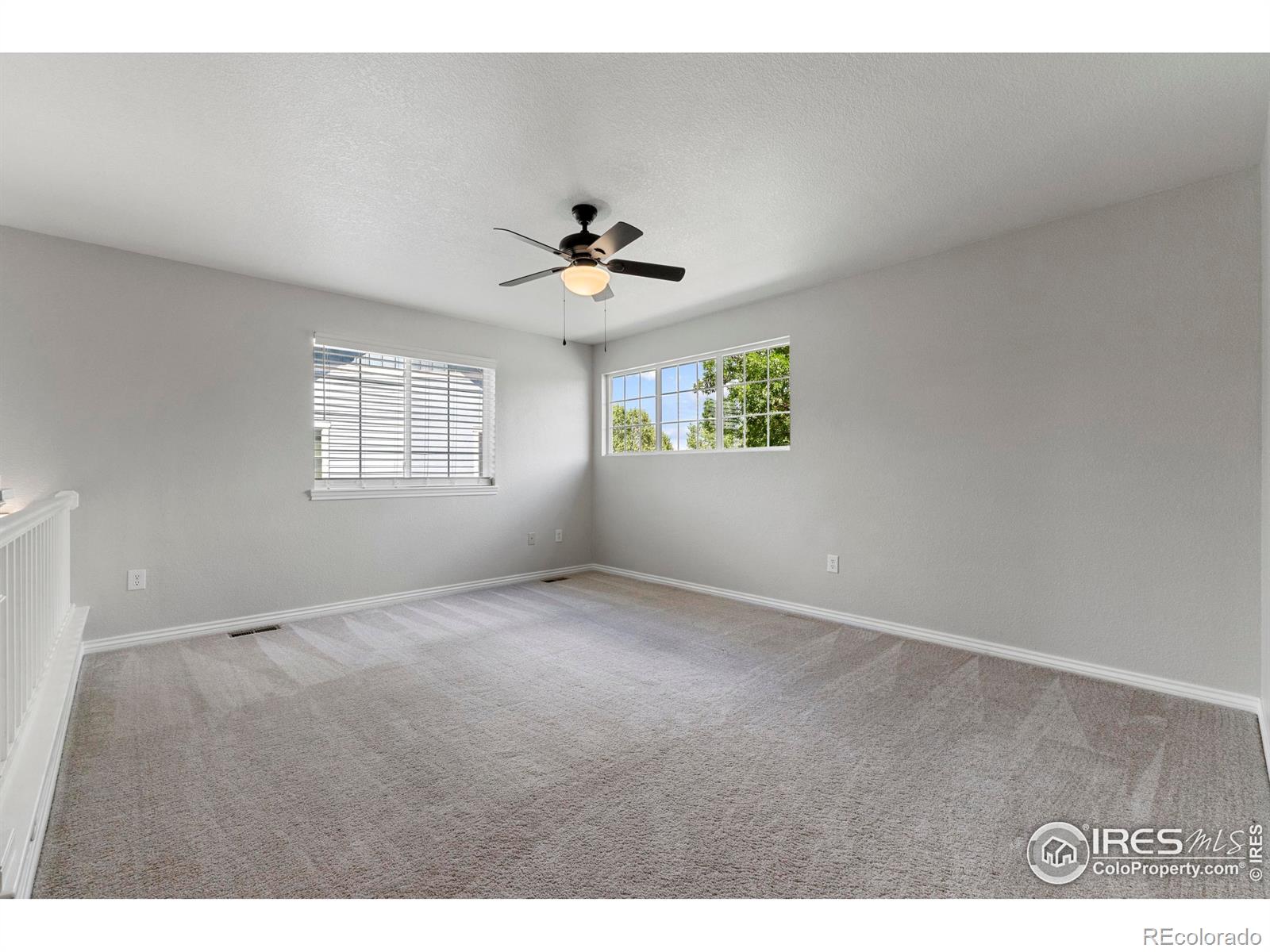 MLS Image #15 for 5409  rabbit creek road,fort collins, Colorado