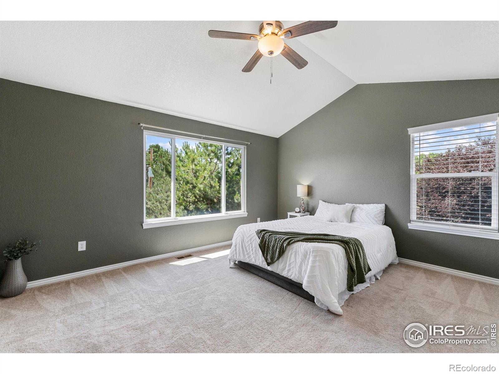 MLS Image #17 for 5409  rabbit creek road,fort collins, Colorado